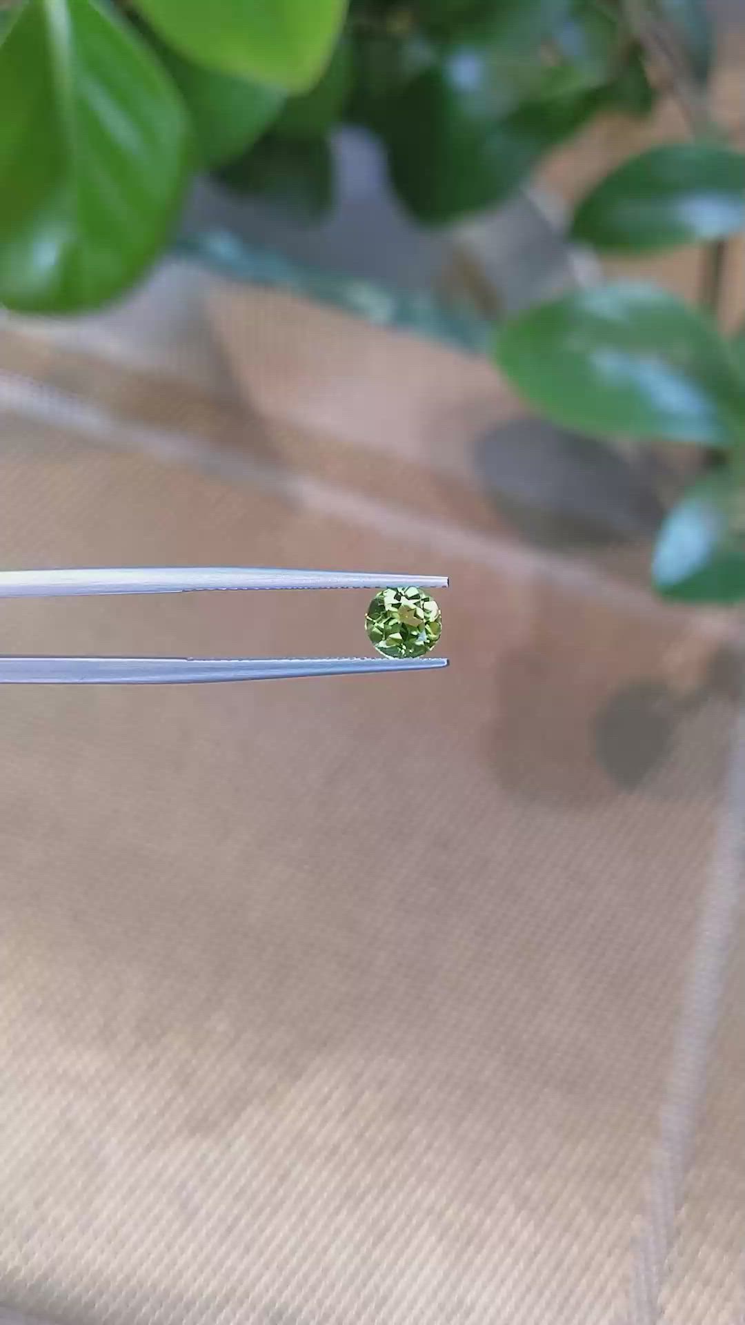 0.77 Ct. Peridot from Burma (Myanmar) Size Video