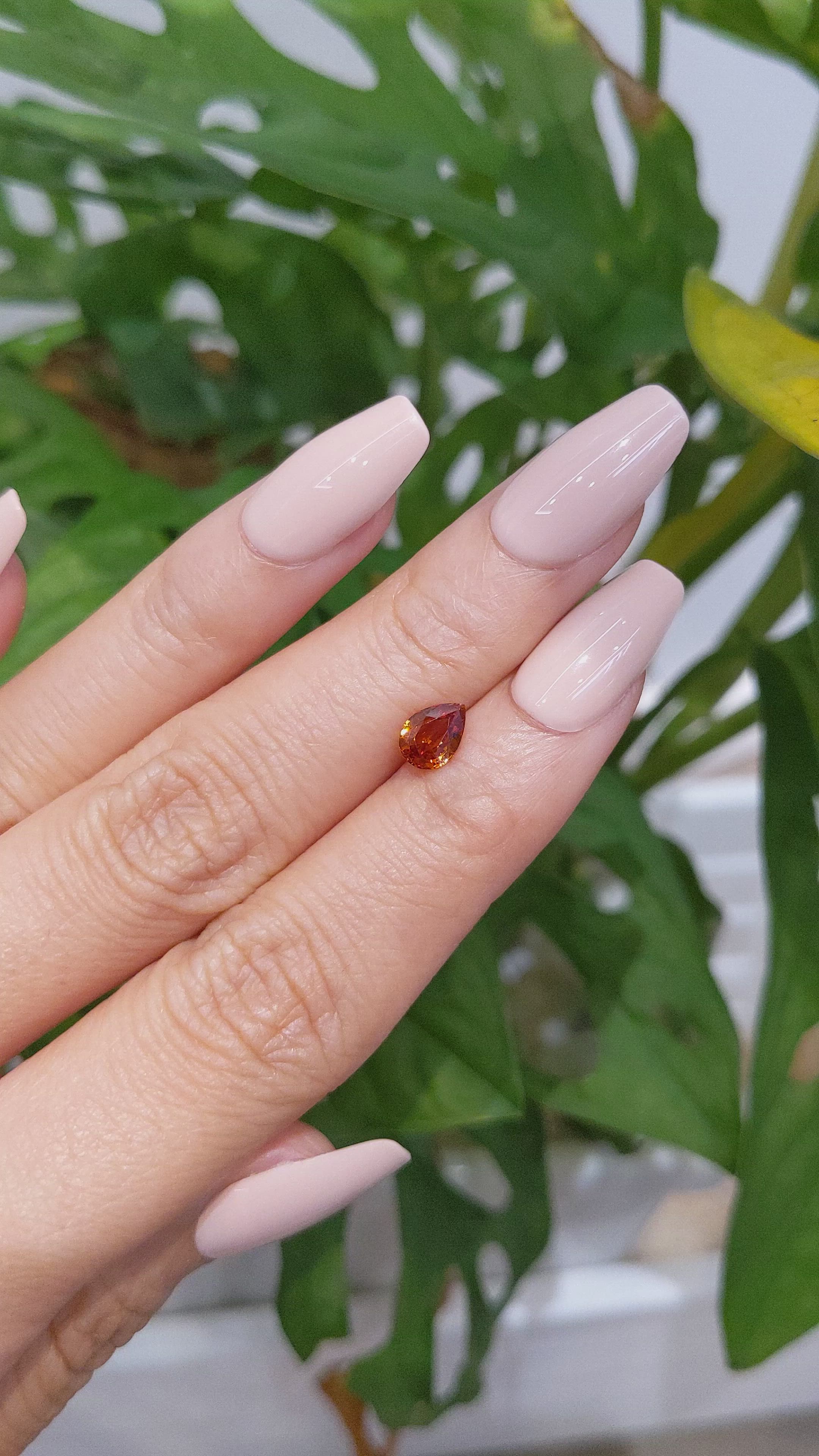 0.82 Ct. Hessonite Garnet from Ceylon (Sri Lanka) Size Video