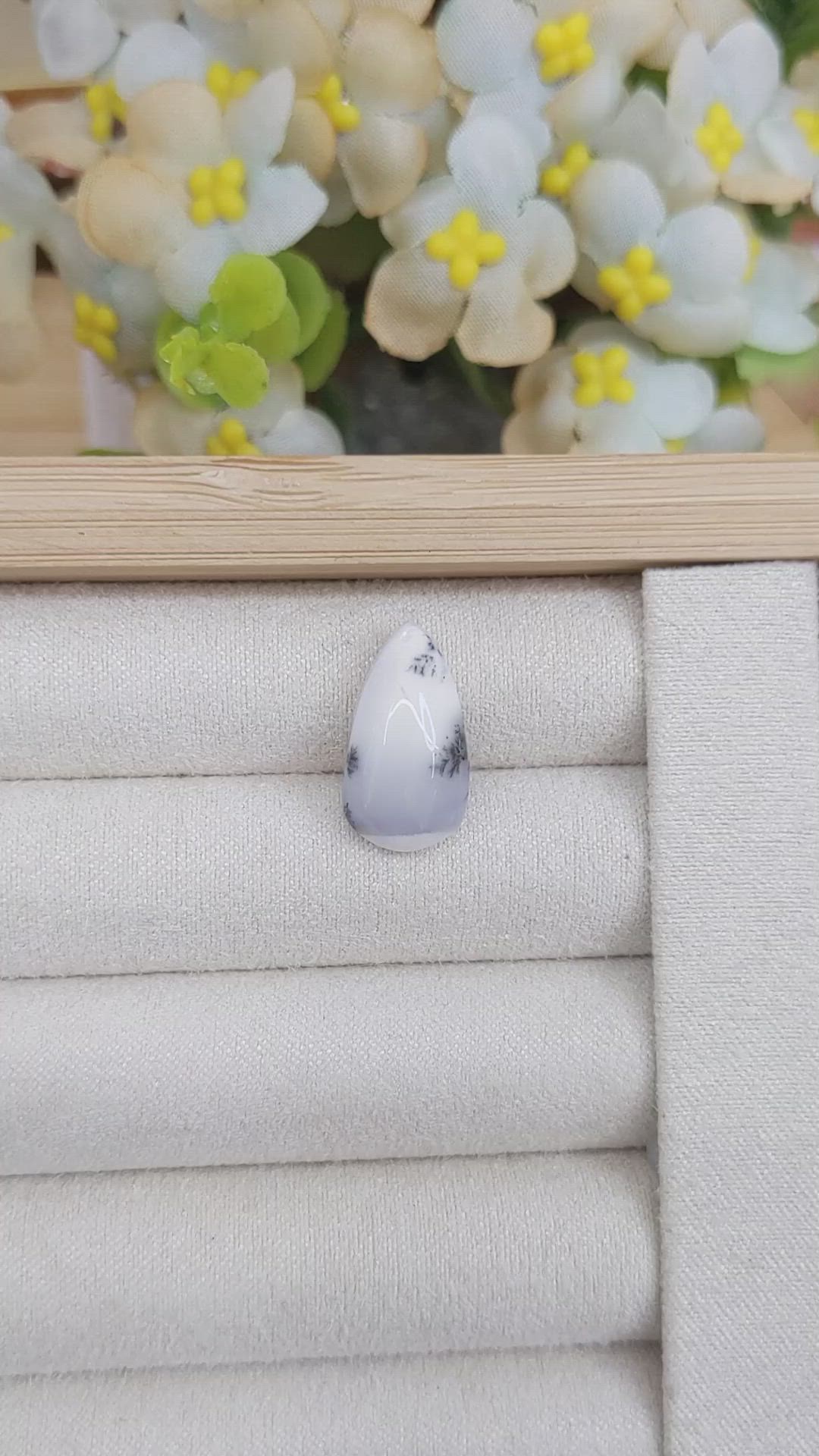 7.61 Ct. Cabochon Agate from Brazil Size Video