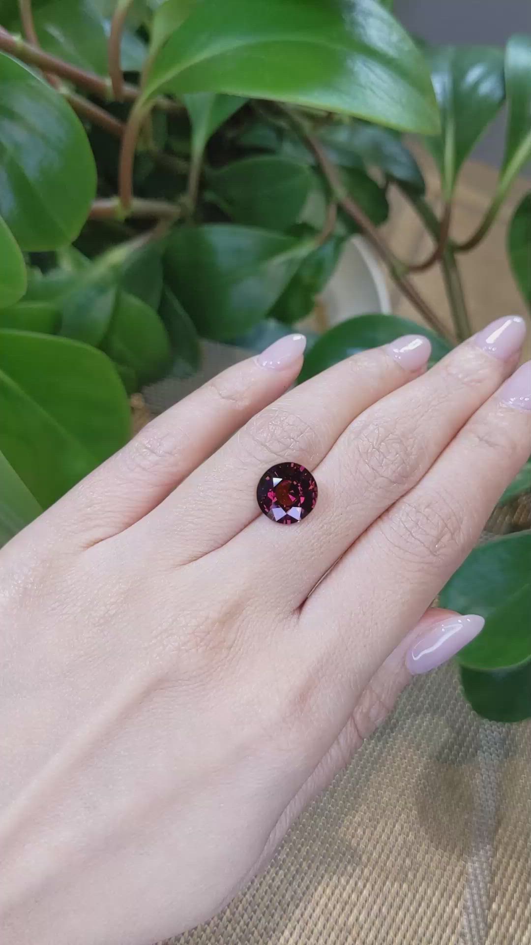 5.55 Ct. Rhodolite Garnet from Tanzania Size Video