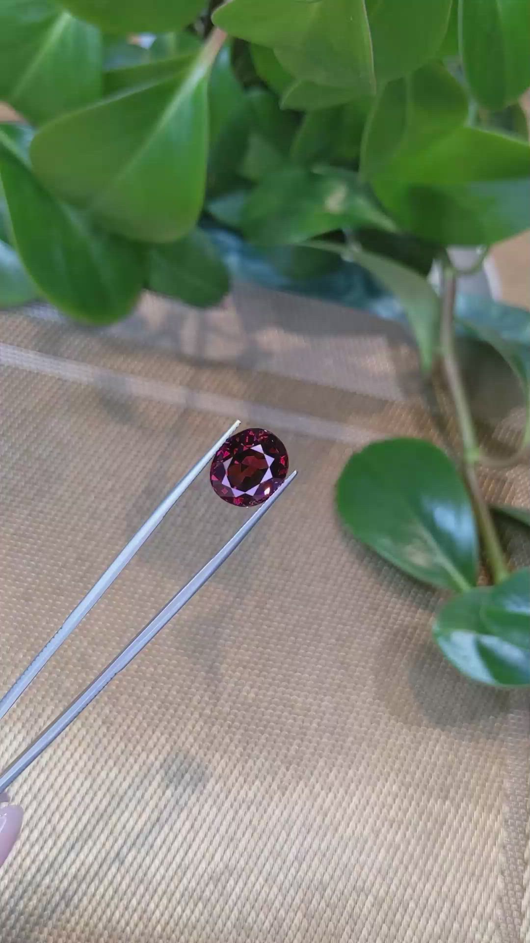 11.77 Ct. Rhodolite Garnet from Tanzania Size Video