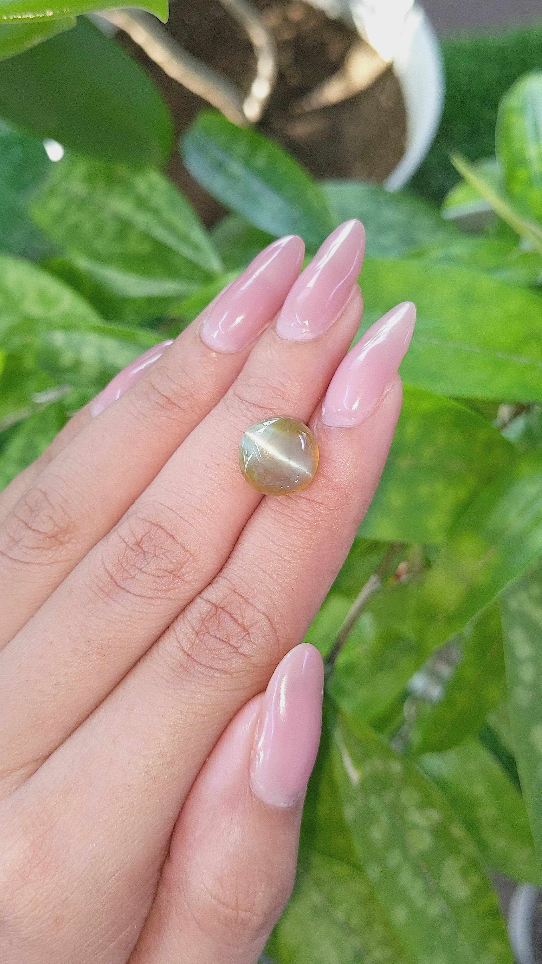 7.95 Ct. Cabochon Chrysoberyl from Tanzania Size Video