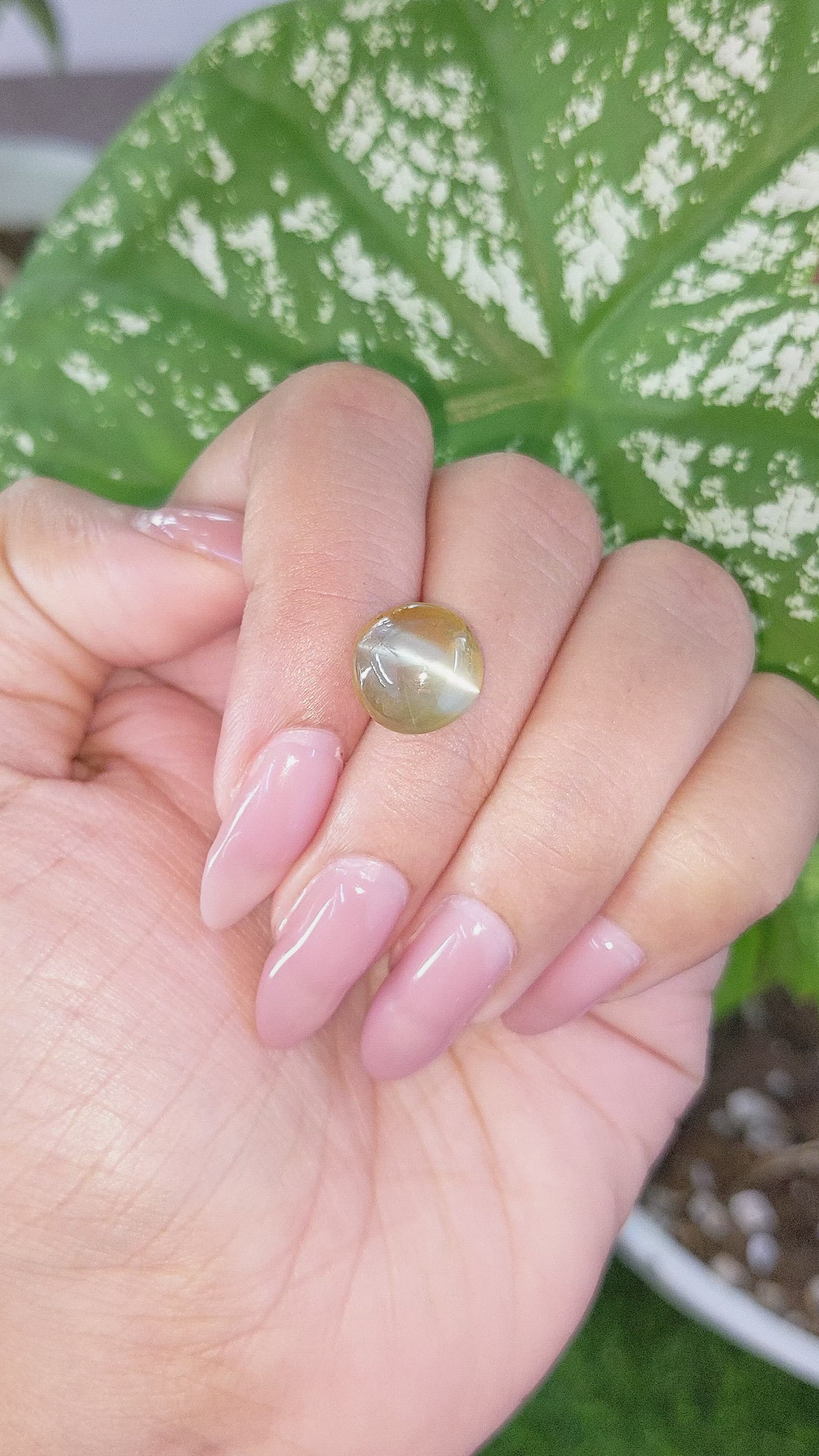 7.95 Ct. Cabochon Chrysoberyl from Tanzania Size Video