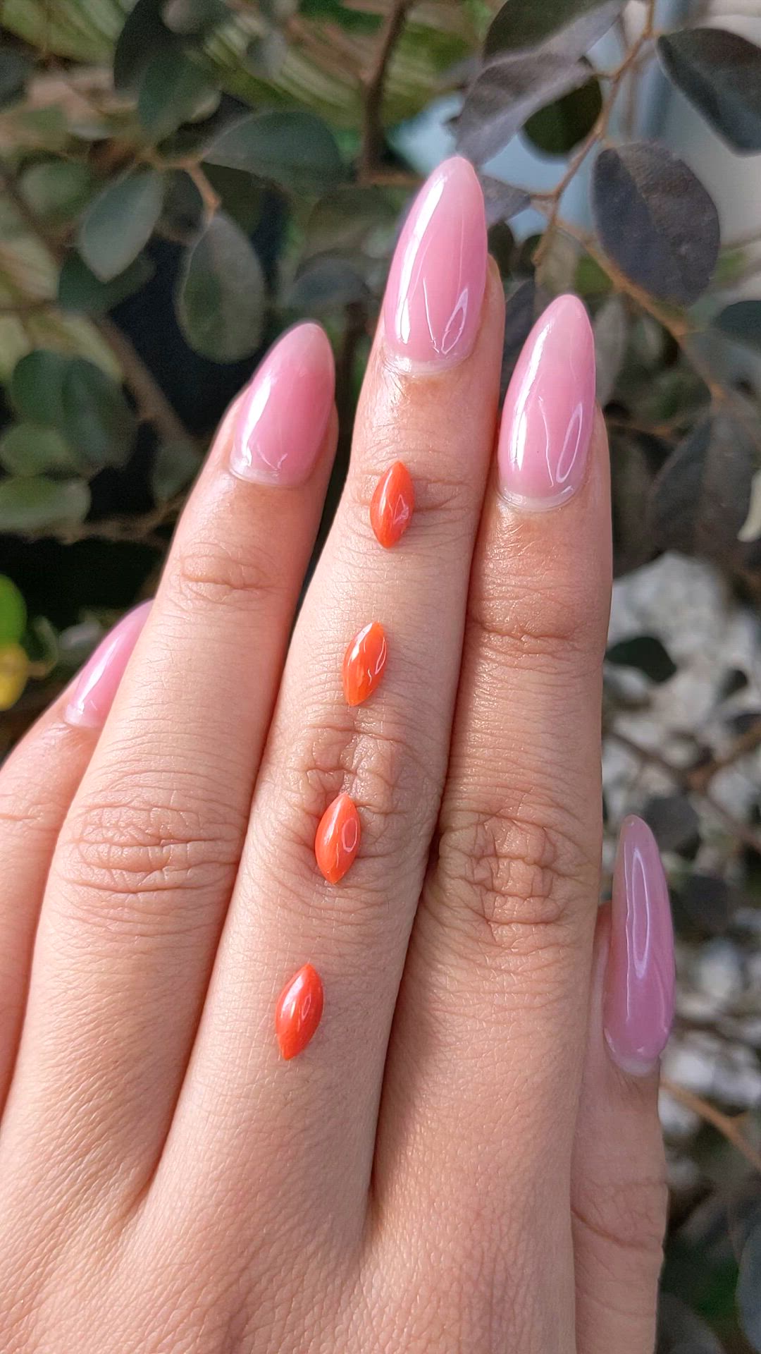 69.69 Ct. Cabochon Coral from Italy Size Video