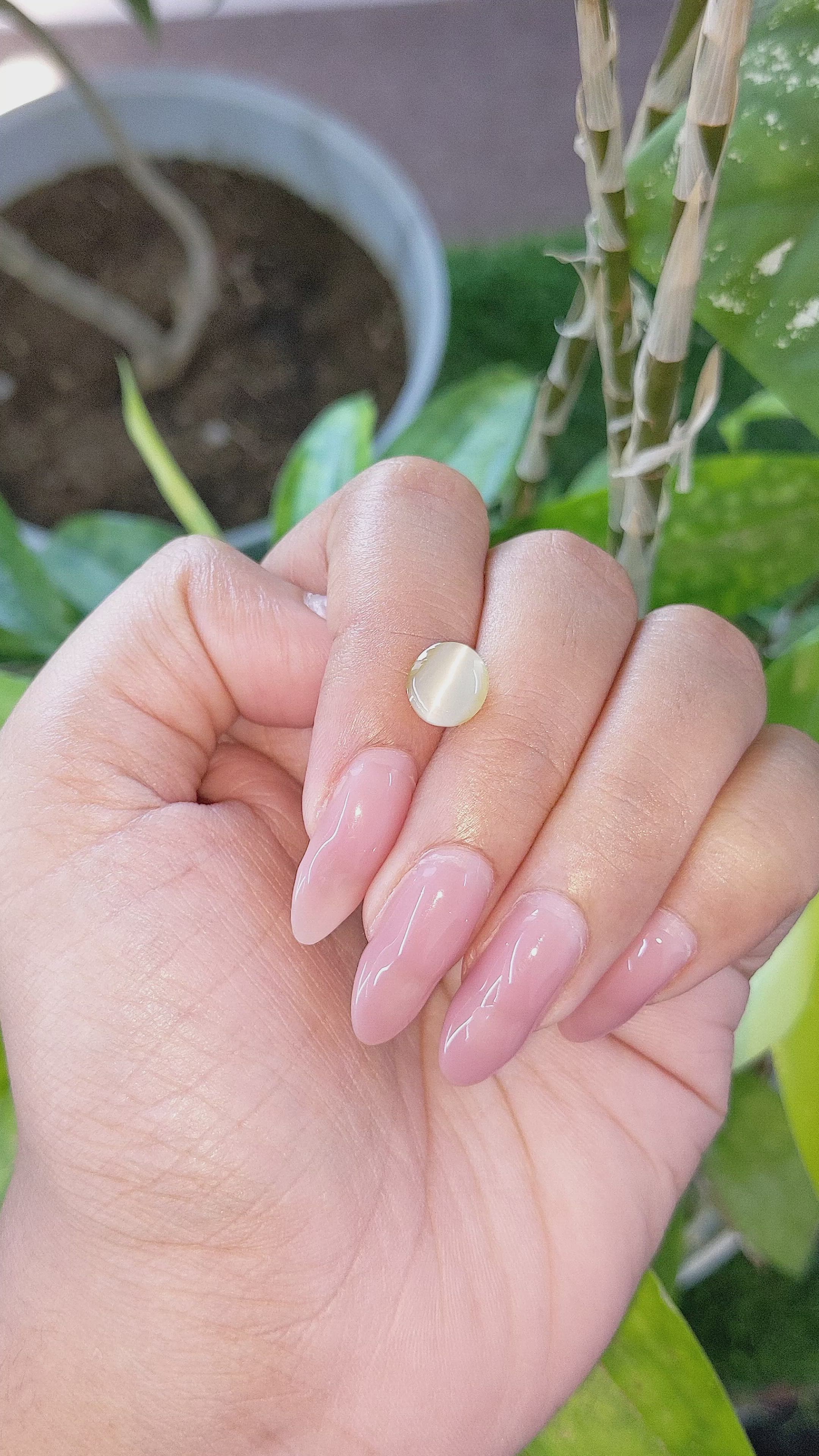 2.51 Ct. Cabochon Chrysoberyl from Tanzania Size Video