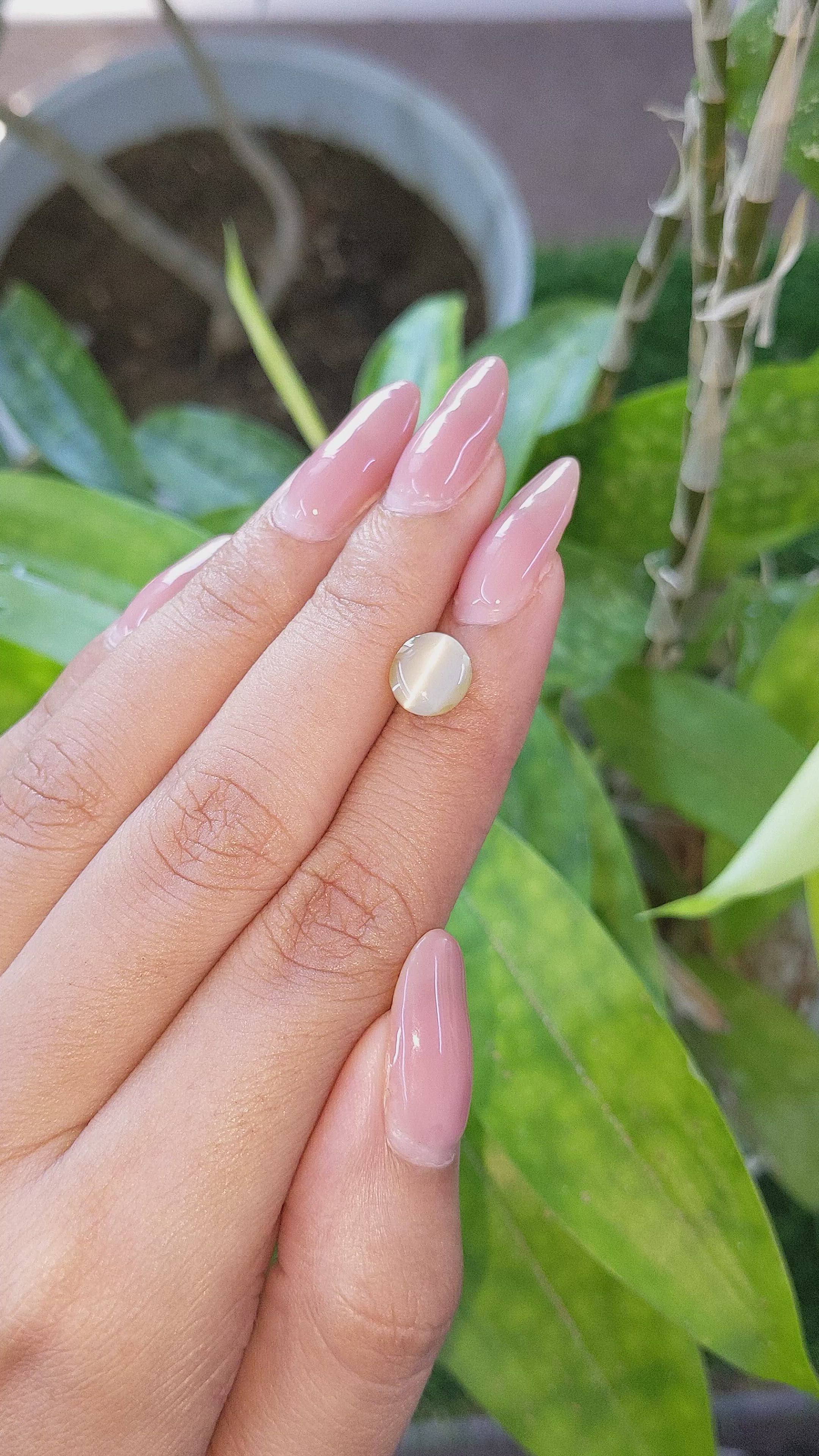 2.51 Ct. Cabochon Chrysoberyl from Tanzania Size Video