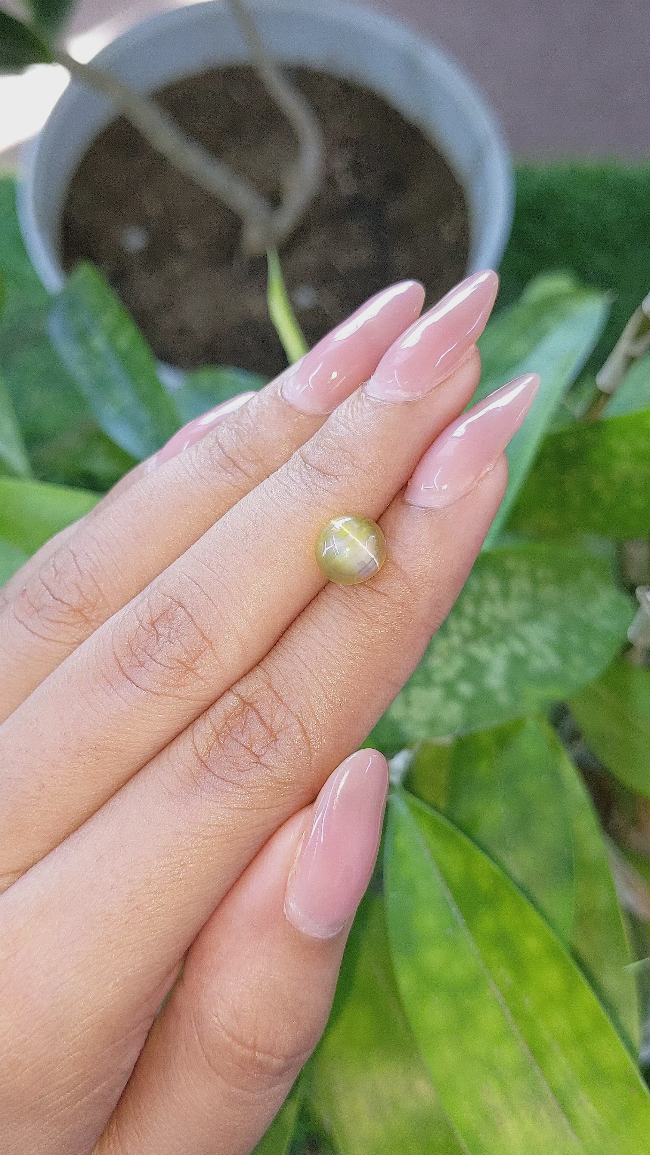 2.94 Ct. Cabochon Chrysoberyl from Tanzania Size Video