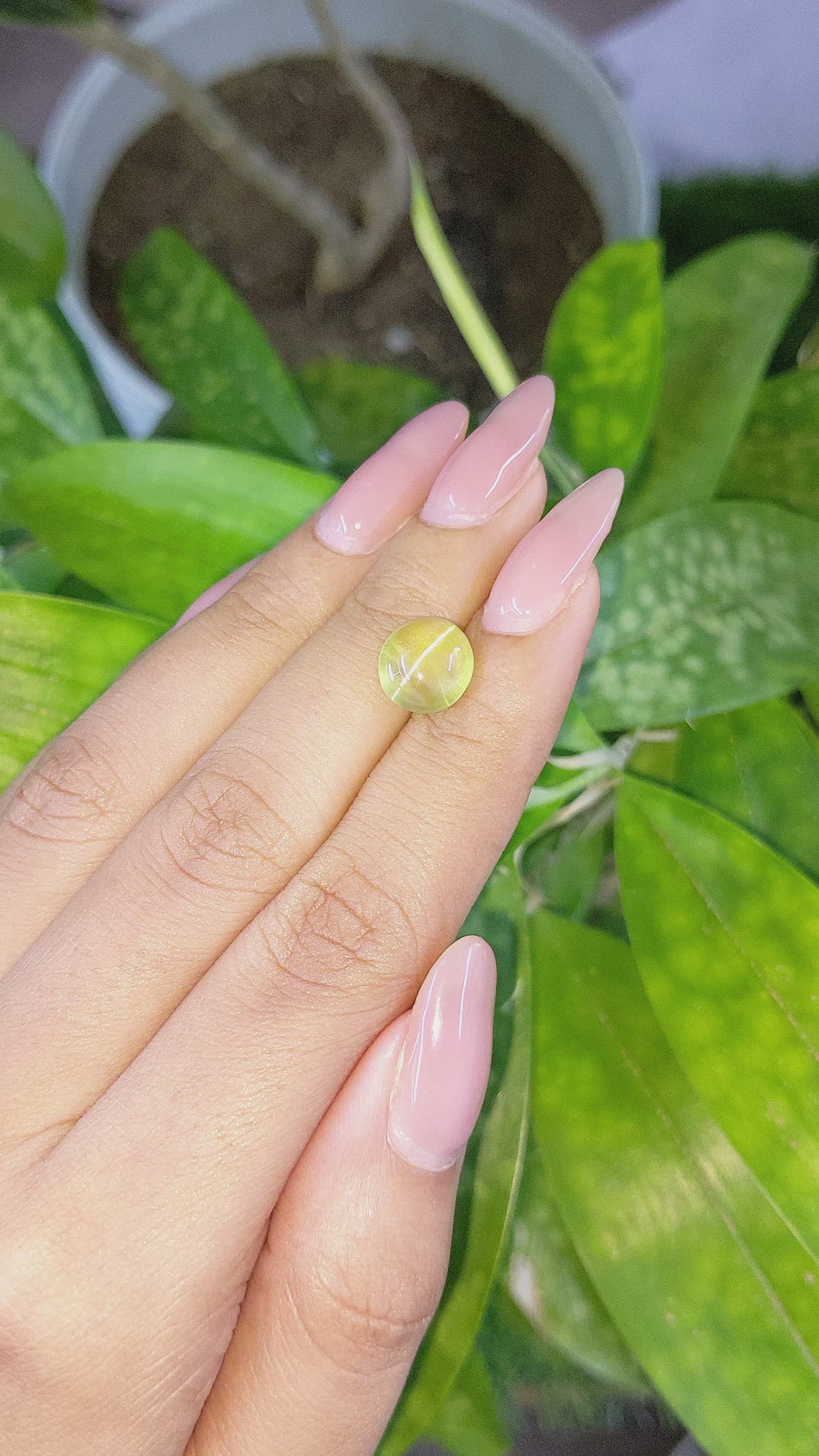 4.85 Ct. Cabochon Chrysoberyl from Tanzania Size Video