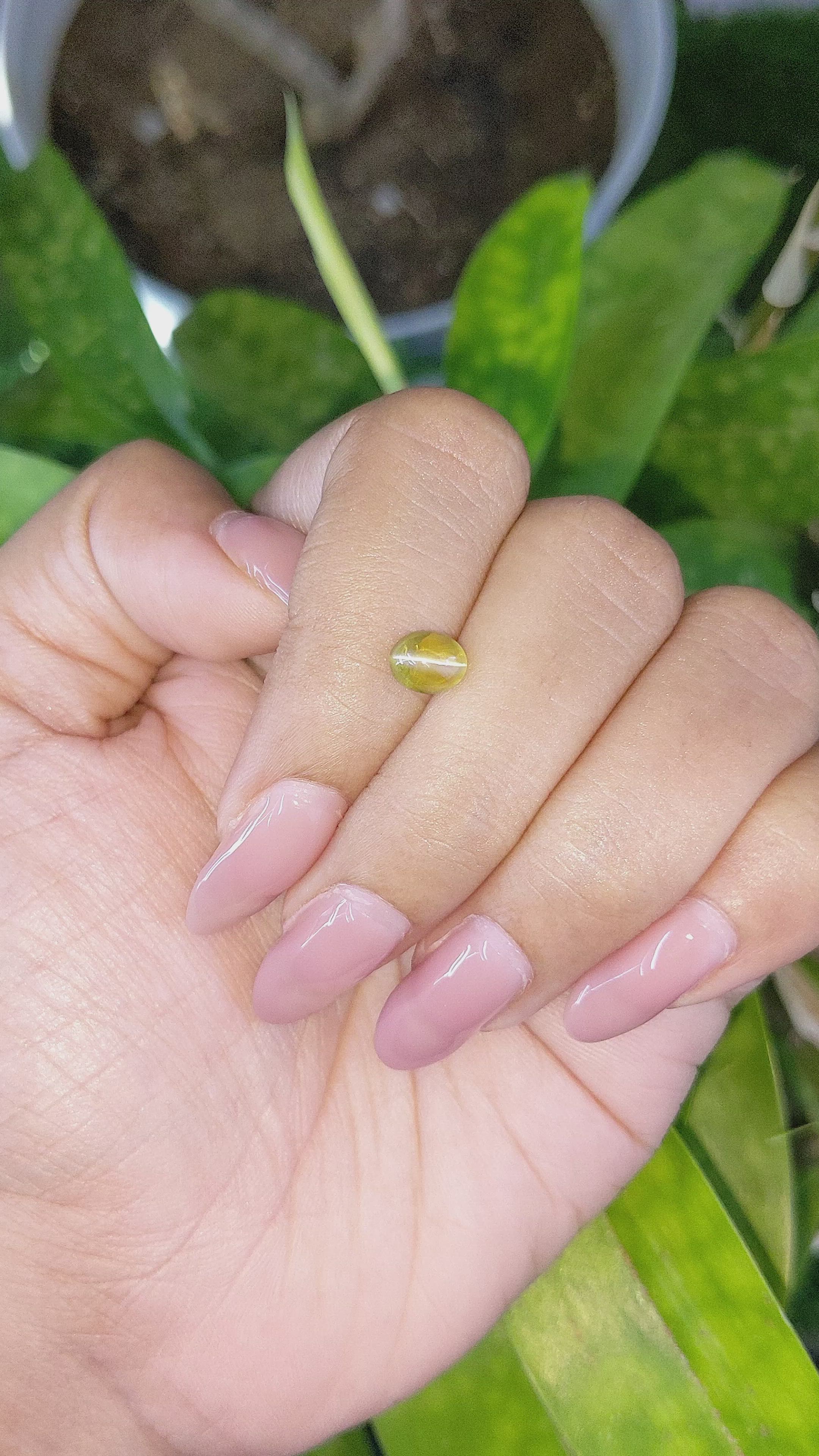 1.30 Ct. Cabochon Chrysoberyl from Madagascar Size Video