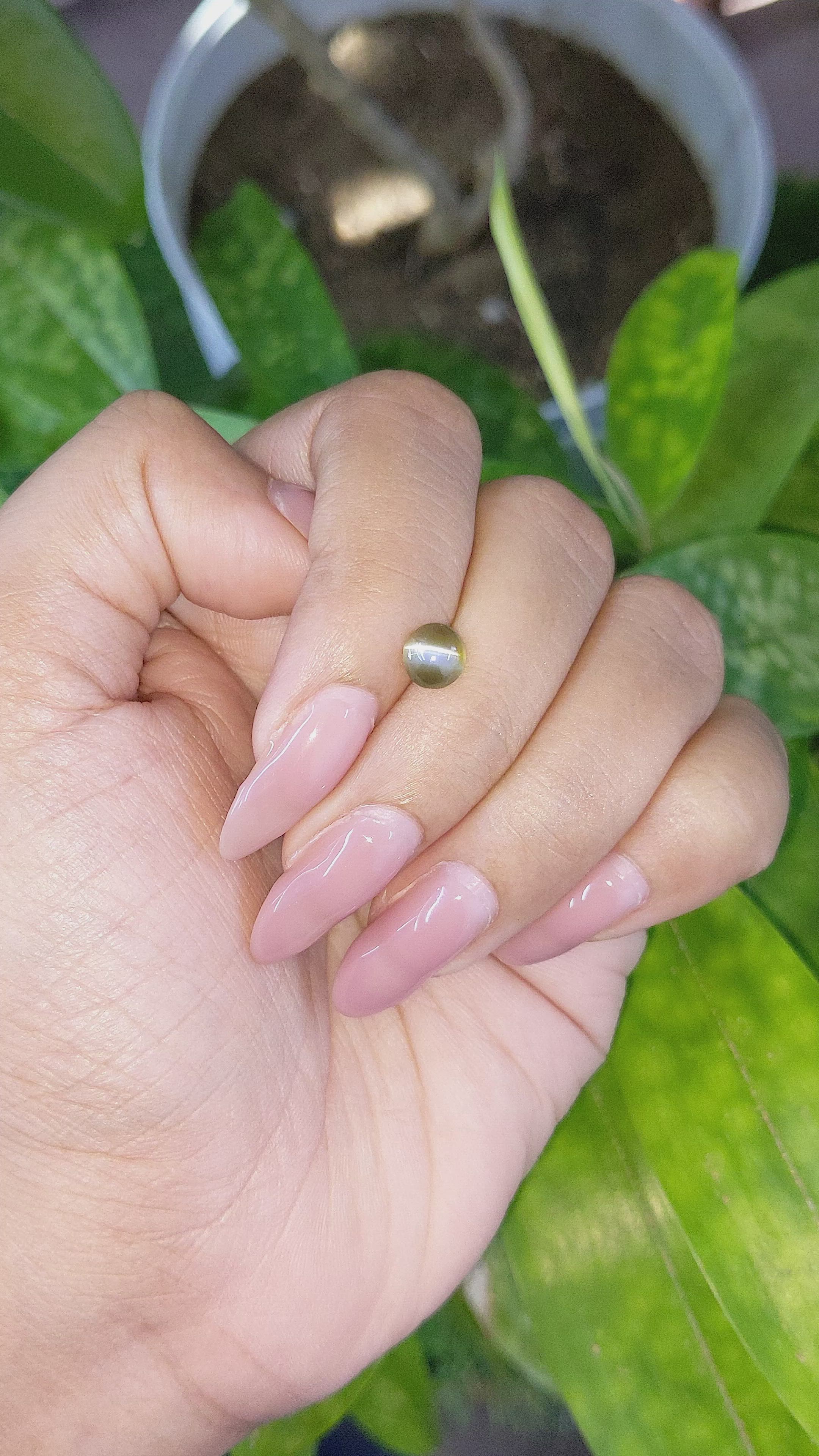 1.18 Ct. Cabochon Chrysoberyl from Tanzania Size Video