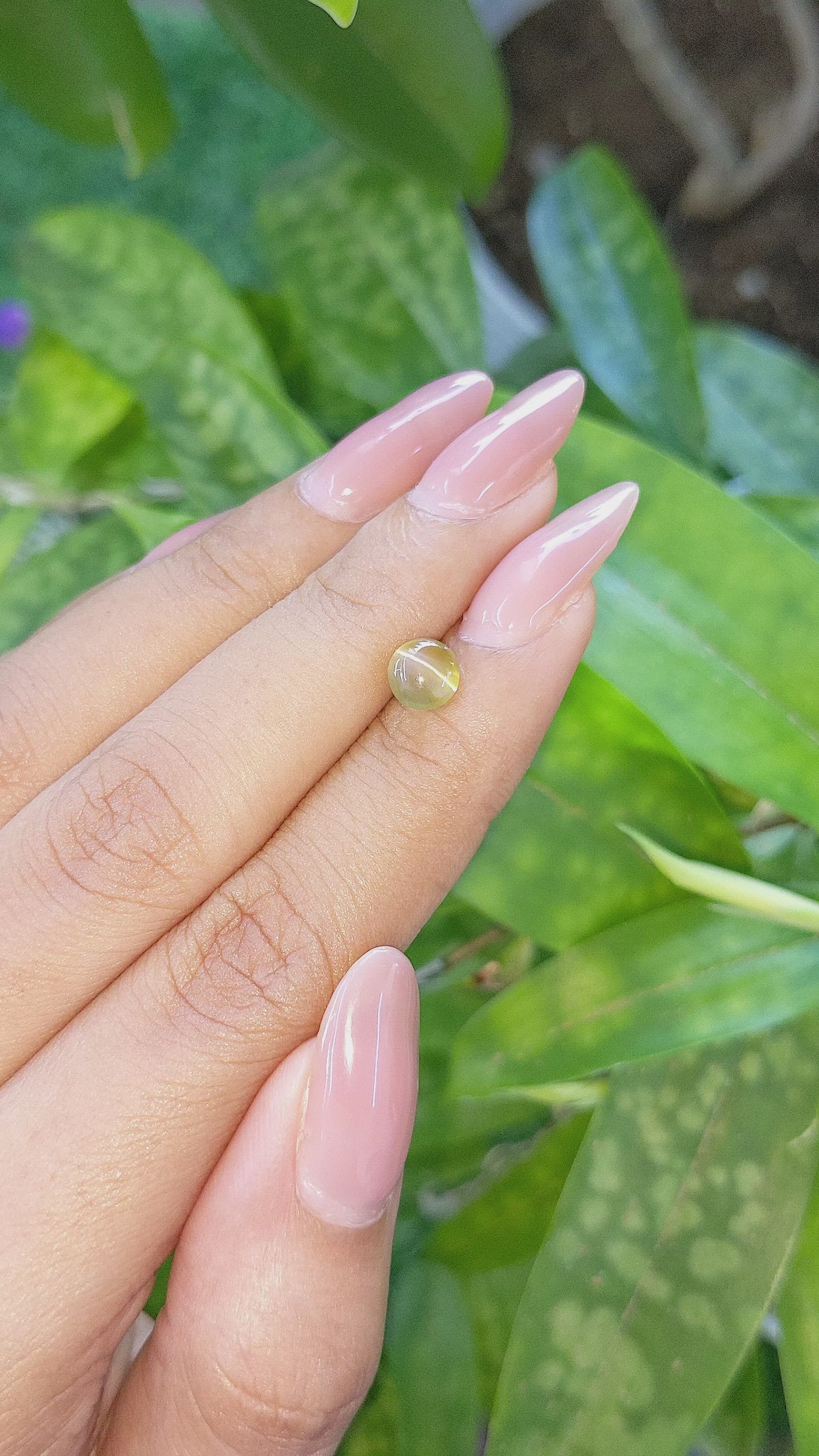 1.46 Ct. Greenish Yellow Cabochon Chrysoberyl from Tanzania Size Video