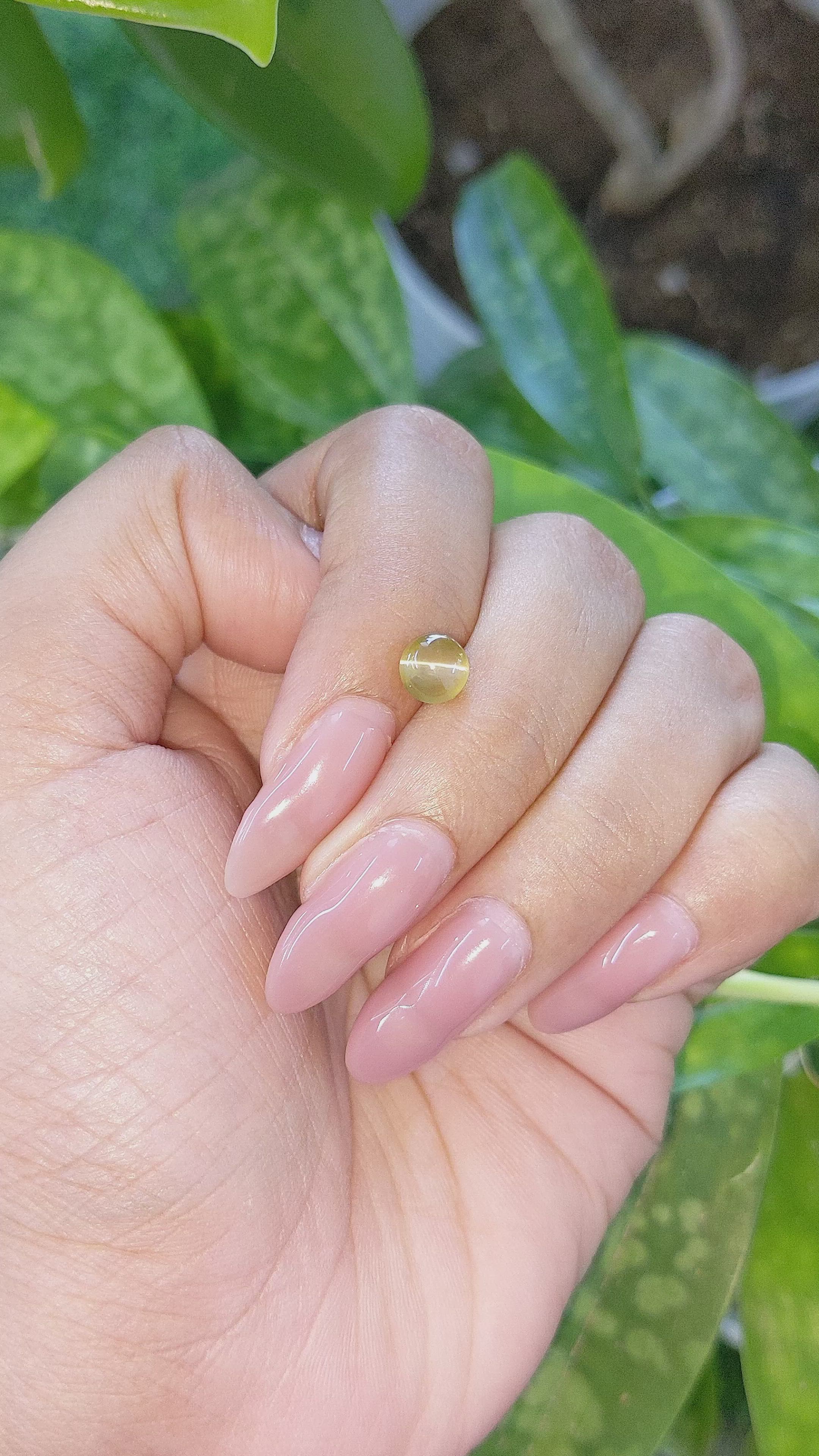 1.46 Ct. Greenish Yellow Cabochon Chrysoberyl from Tanzania Size Video