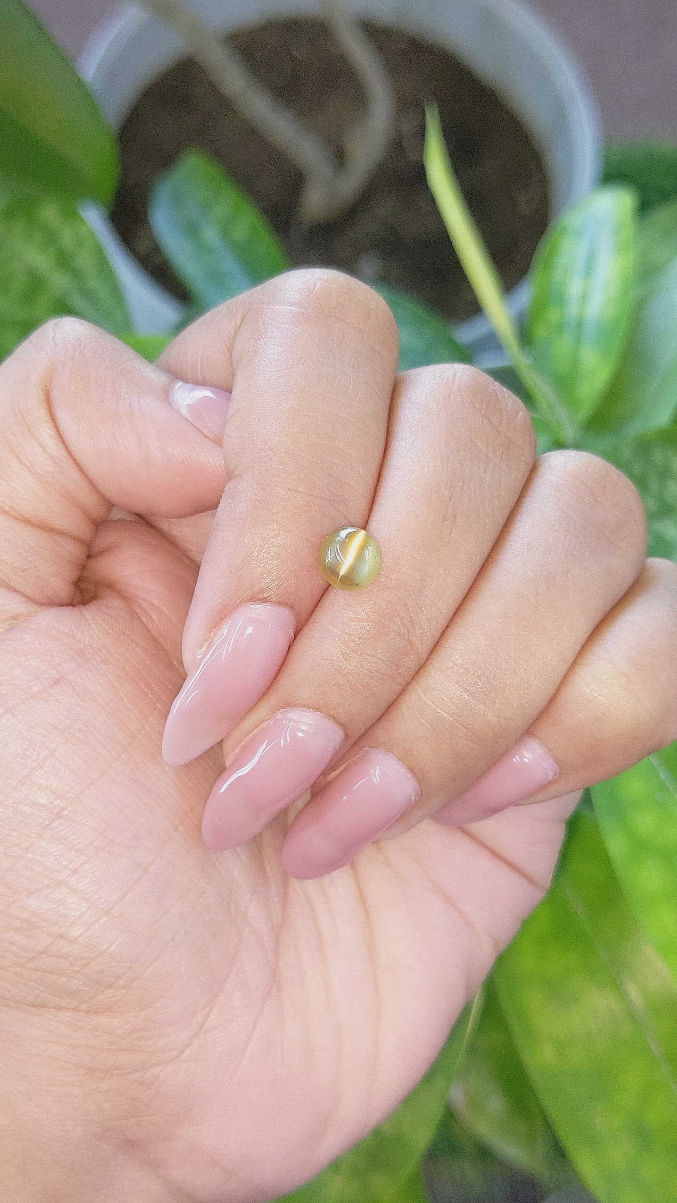 1.53 Ct. Cabochon Chrysoberyl from Tanzania Size Video