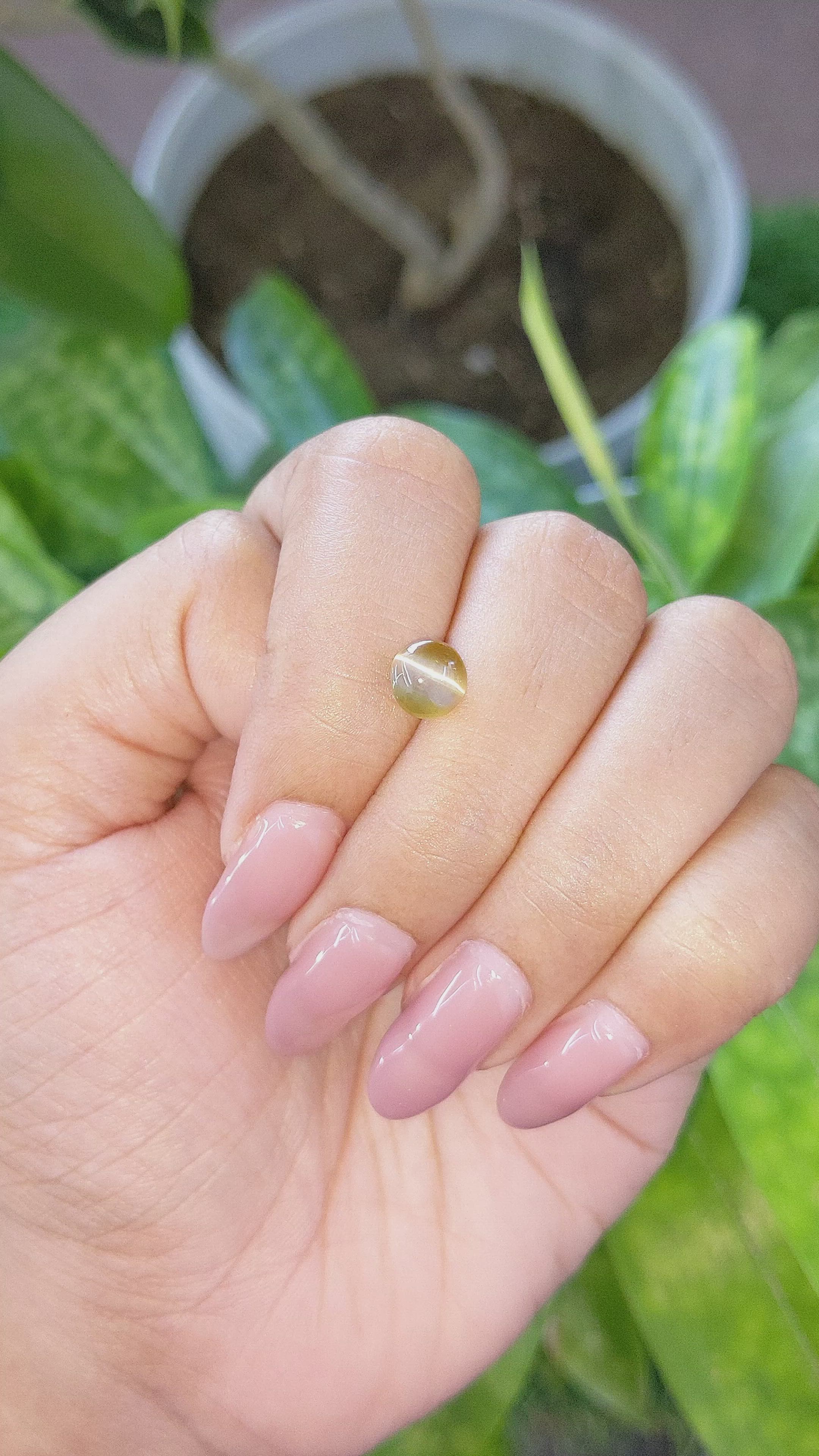 1.94 Ct. Cabochon Chrysoberyl from Tanzania Size Video