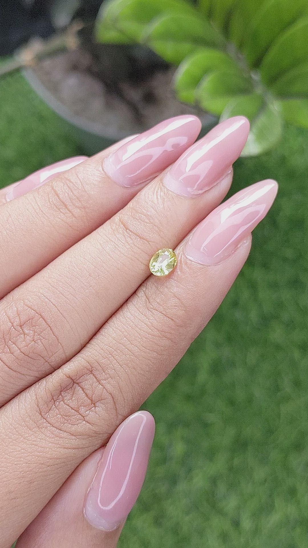 0.50 Ct. Chrysoberyl from Ceylon (Sri Lanka) Size Video