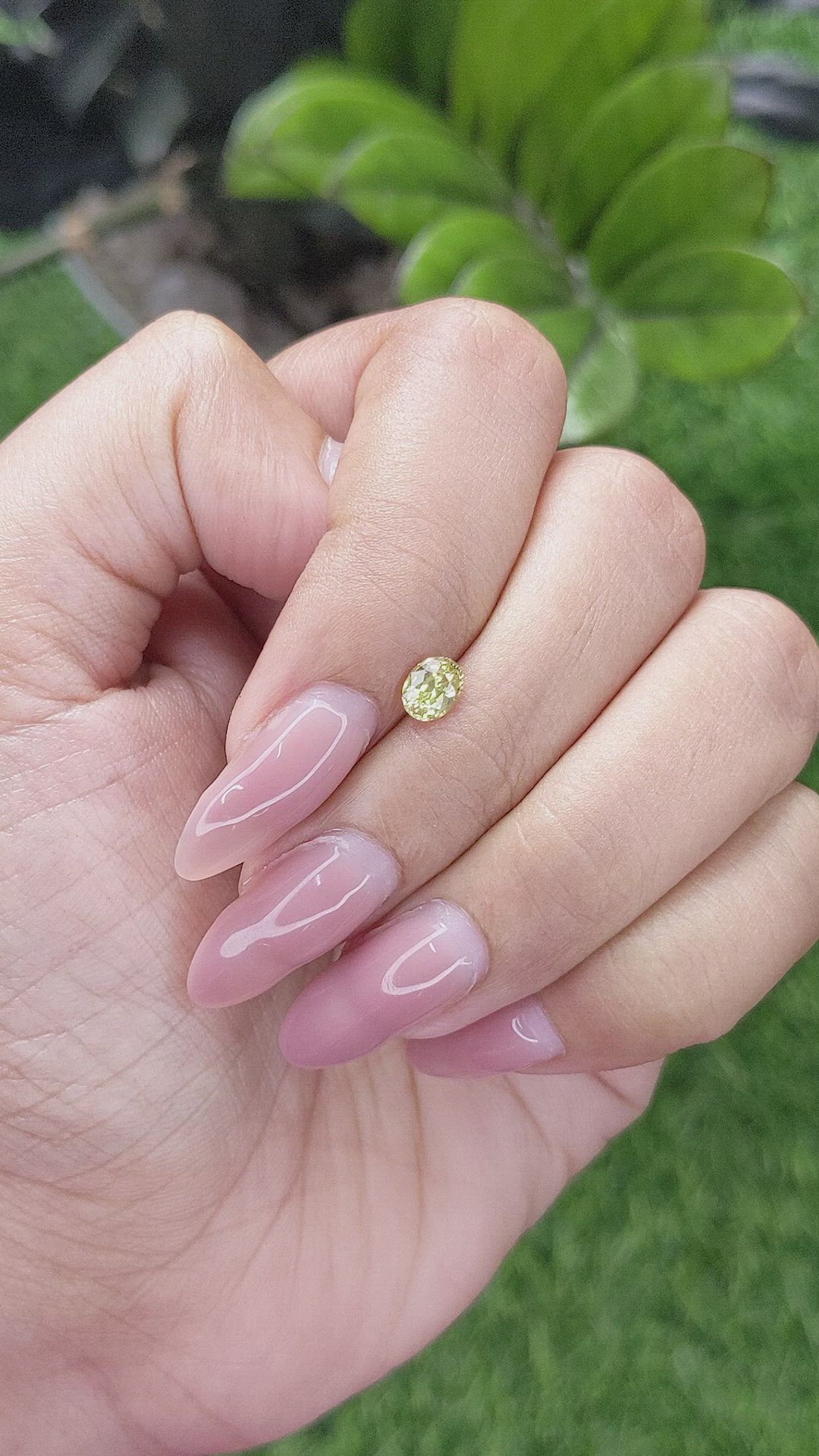 0.50 Ct. Chrysoberyl from Ceylon (Sri Lanka) Size Video