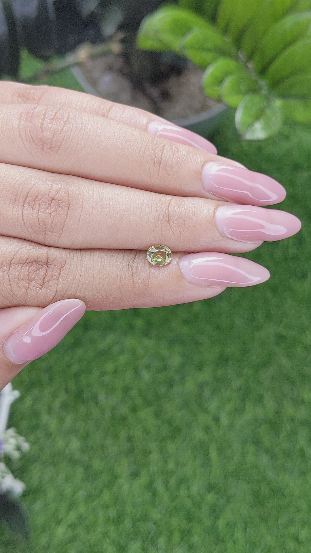 0.51 Ct. Chrysoberyl from Ceylon (Sri Lanka) Size Video