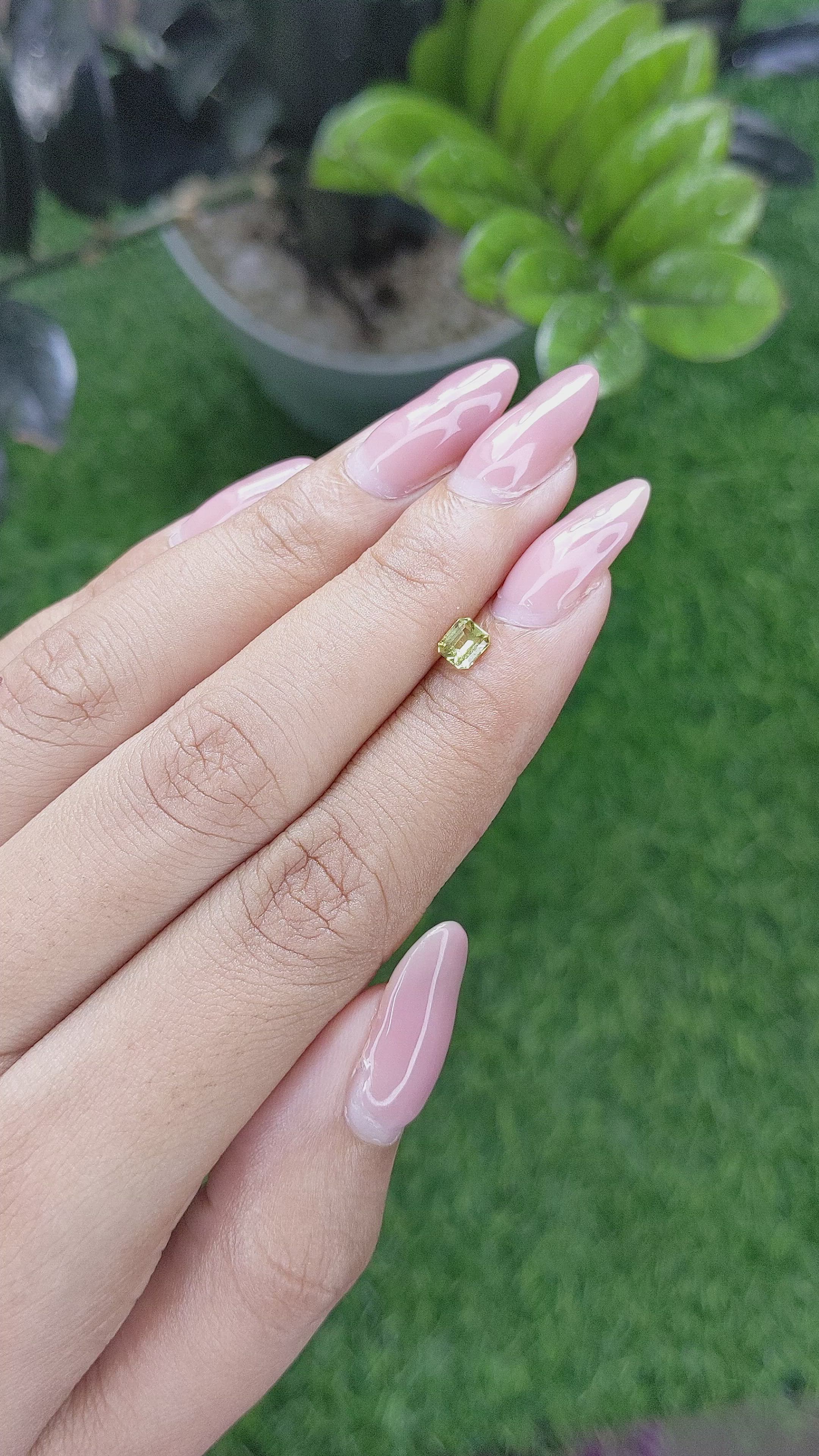 0.39 Ct. Chrysoberyl from Ceylon (Sri Lanka) Size Video