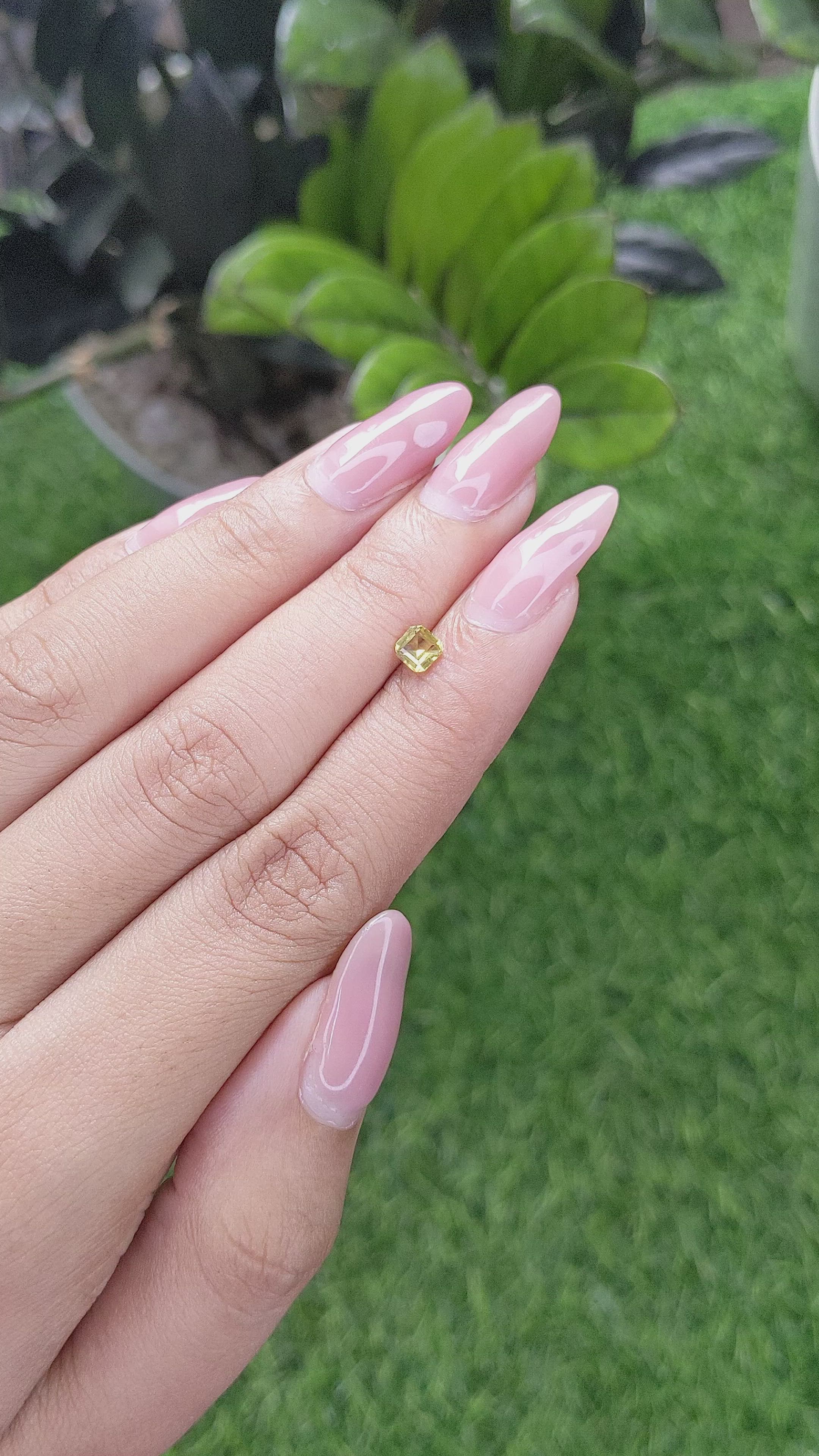 0.38 Ct. Chrysoberyl from Ceylon (Sri Lanka) Size Video