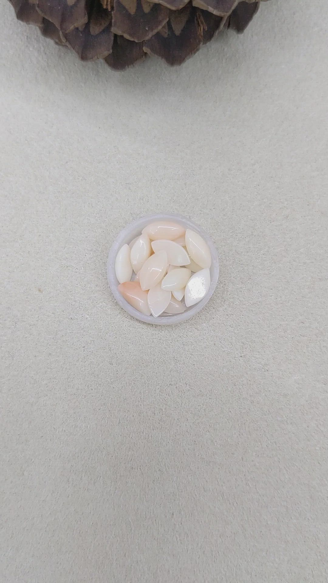 5.25 Ct. Cabochon Coral from Italy Size Video