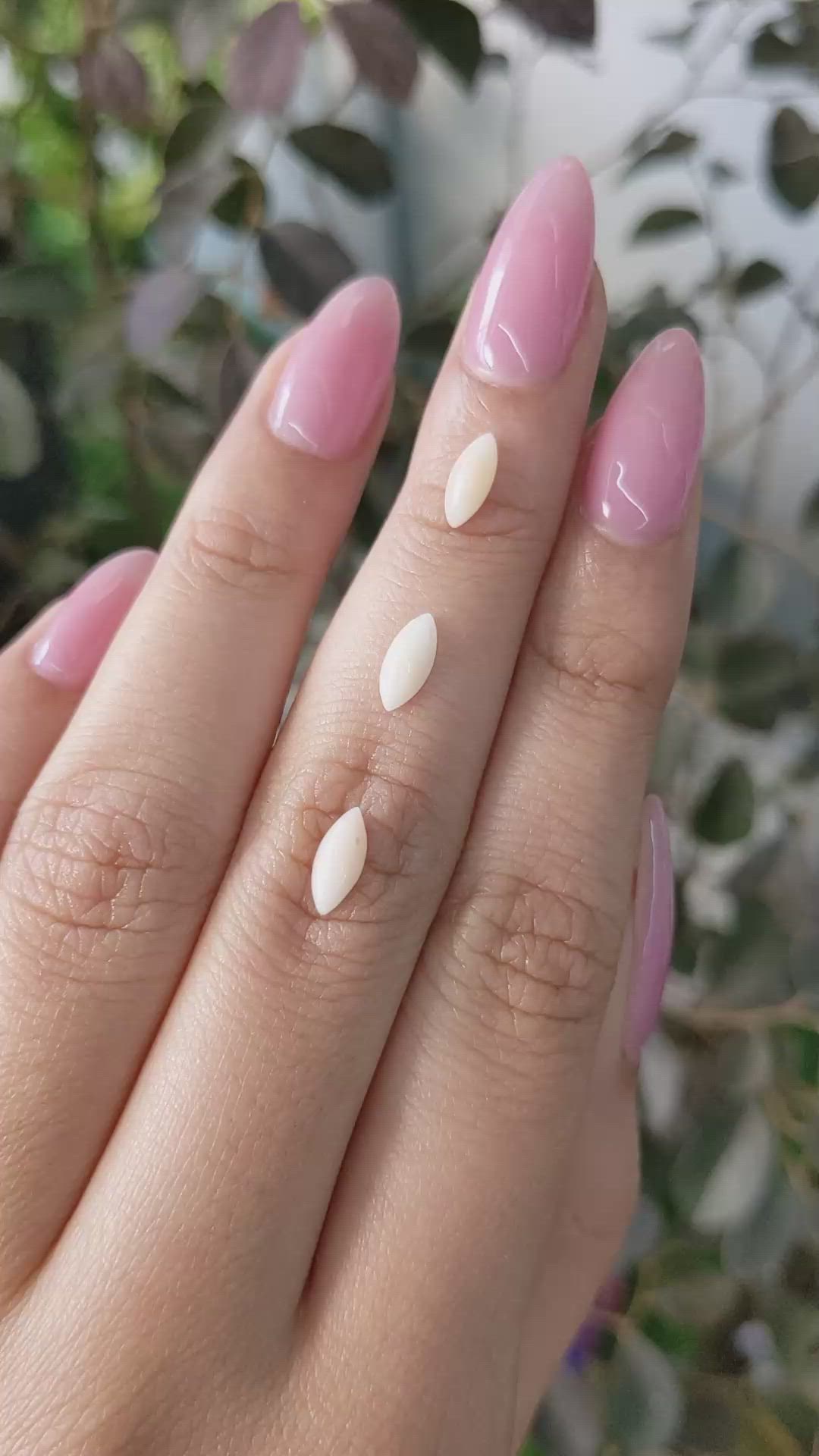 5.14 Ct. Cabochon Coral from Italy Size Video