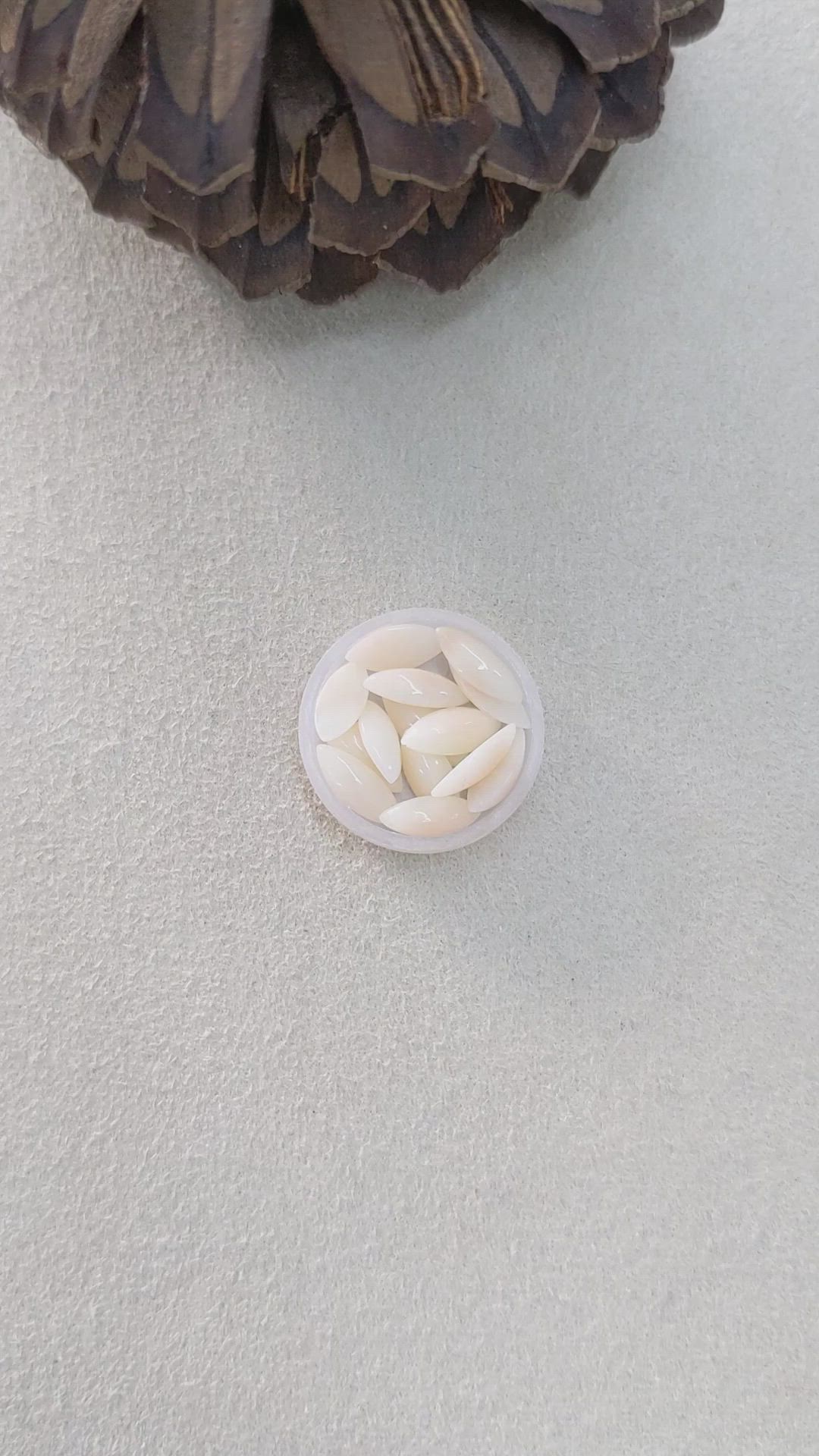 5.14 Ct. Cabochon Coral from Italy Size Video