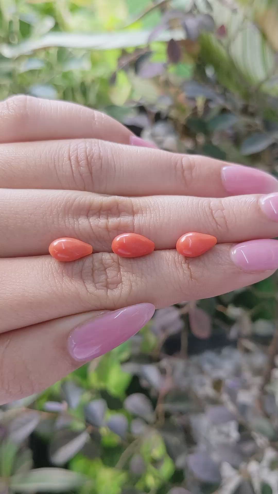 69.61 Ct. Coral from Italy Size Video