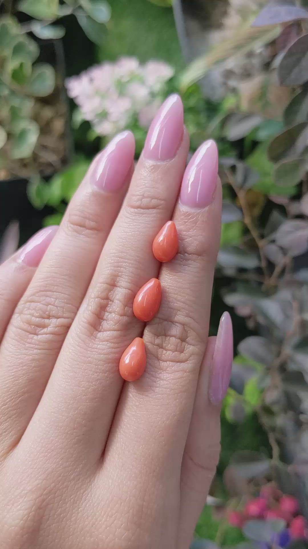 69.61 Ct. Coral from Italy Size Video