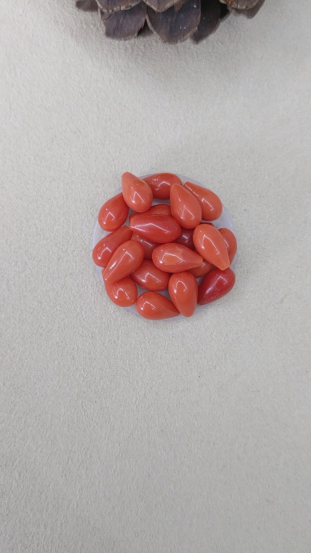 69.61 Ct. Coral from Italy Size Video