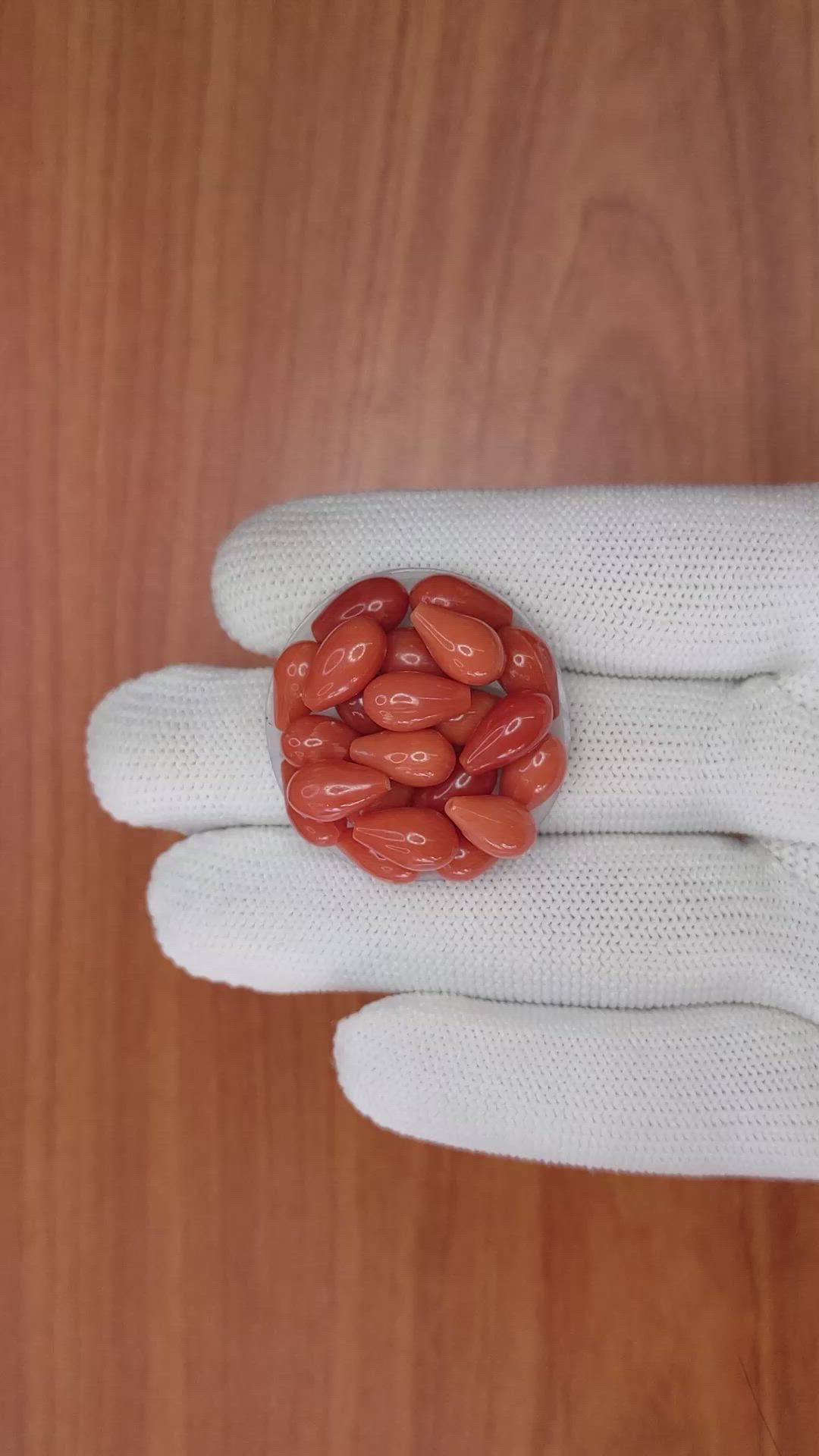 69.61 Ct. Coral from Italy Size Video