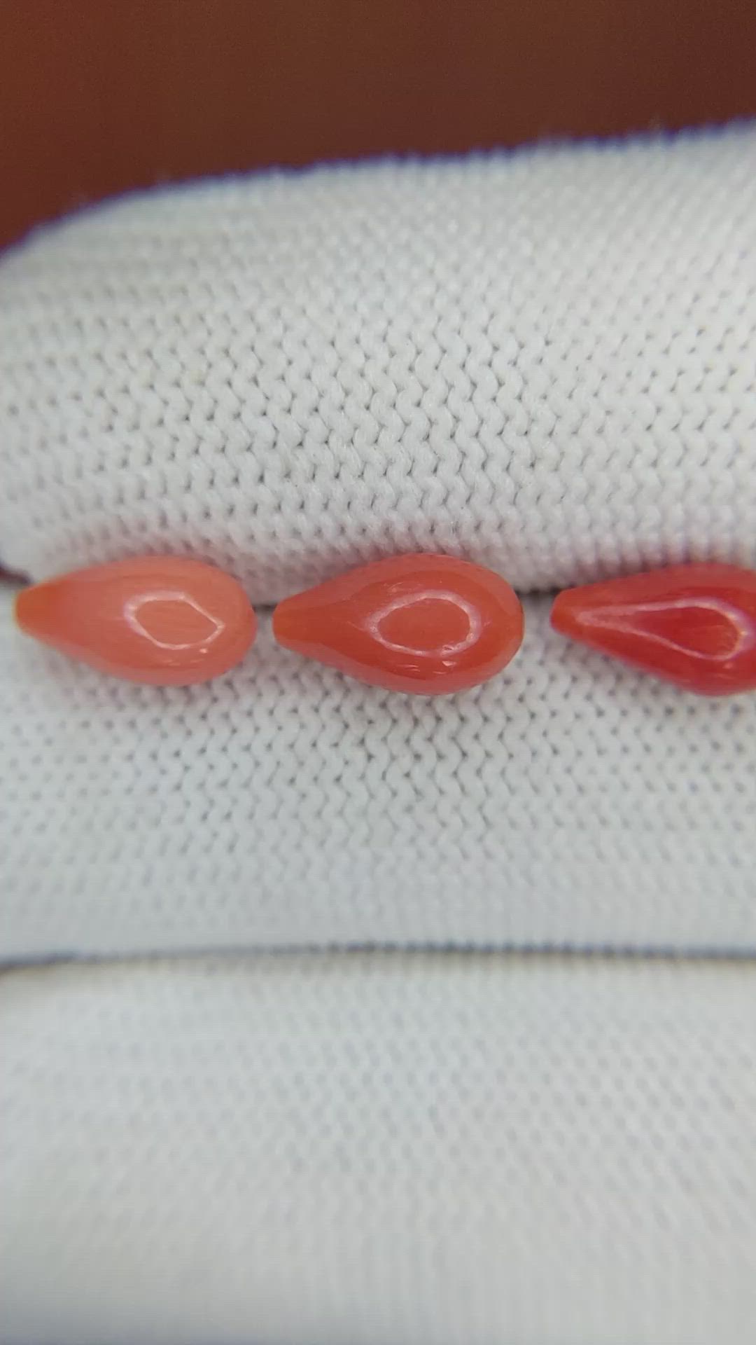 69.61 Ct. Coral from Italy Size Video