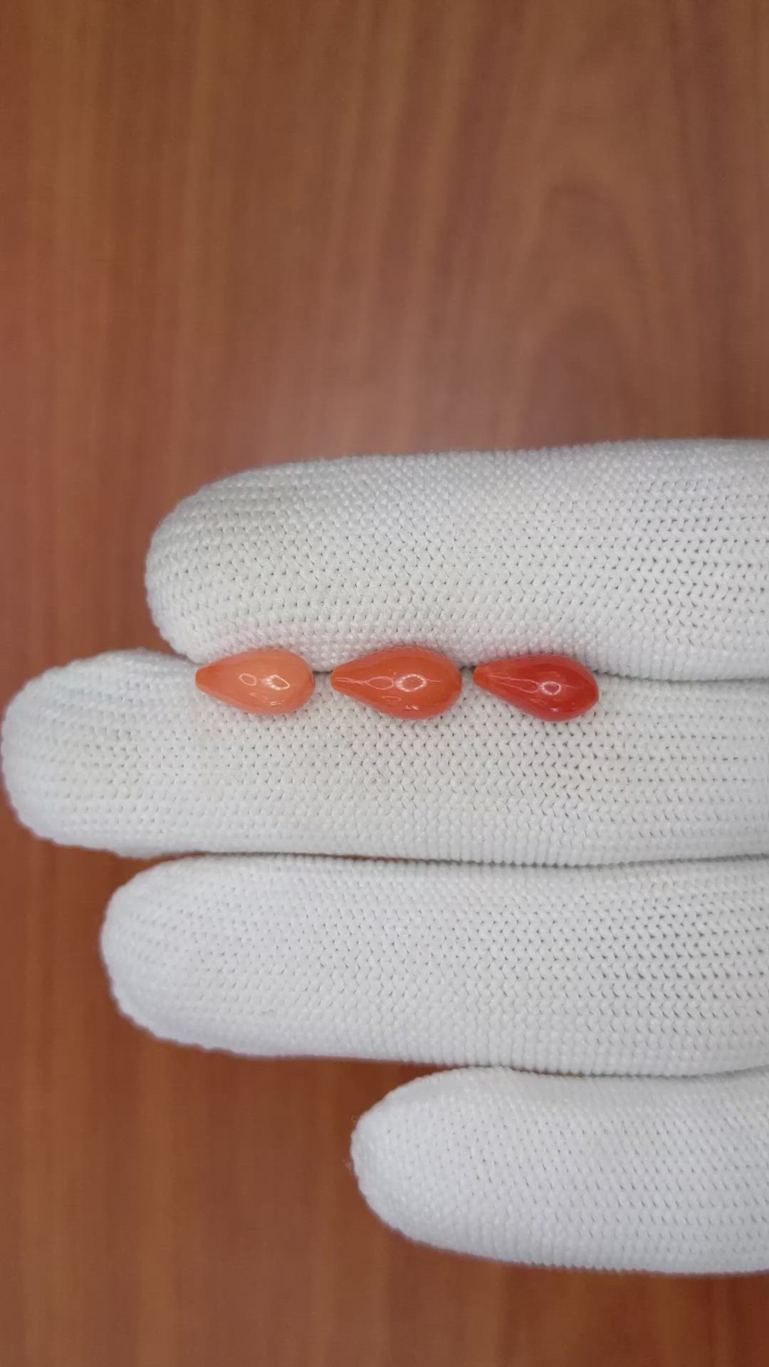 69.61 Ct. Coral from Italy Size Video