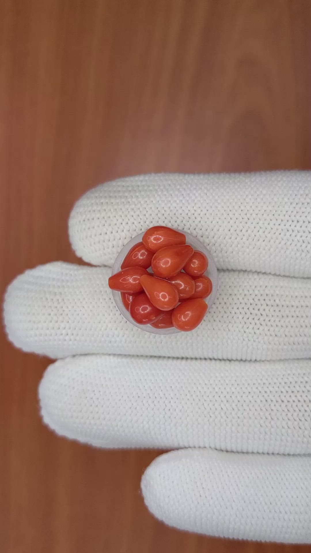 13.41 Ct. Coral from Italy Size Video