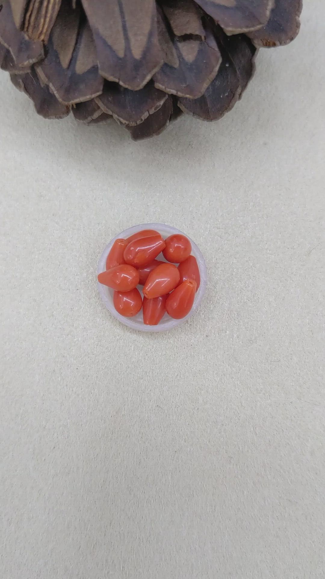 13.41 Ct. Coral from Italy Size Video