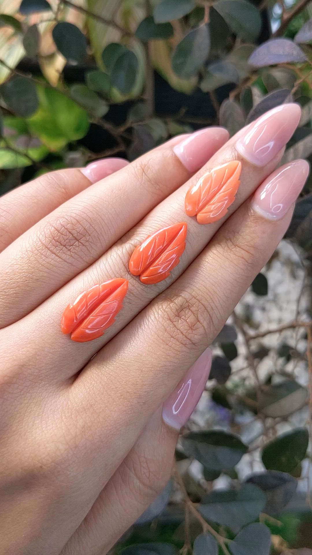 293.11 Ct. Coral from Italy Size Video