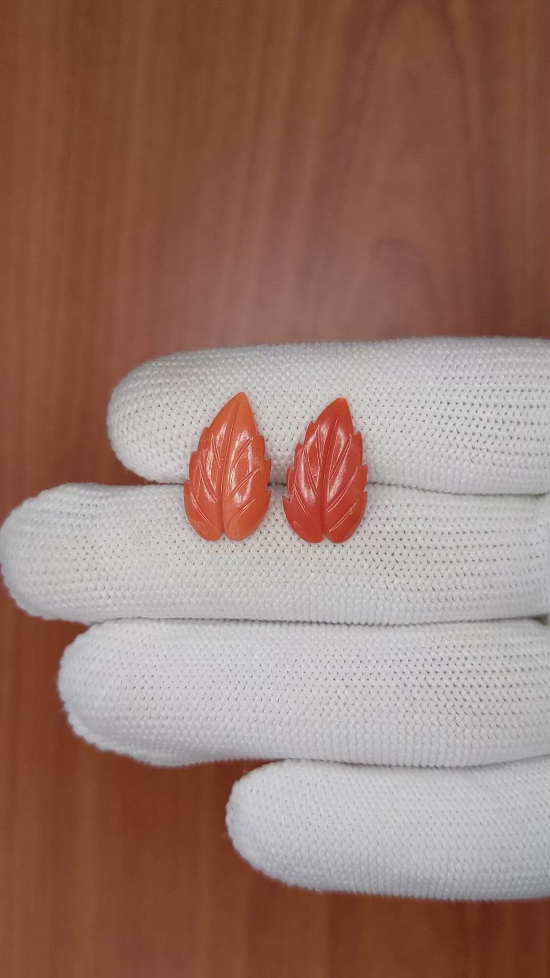 293.11 Ct. Coral from Italy Size Video
