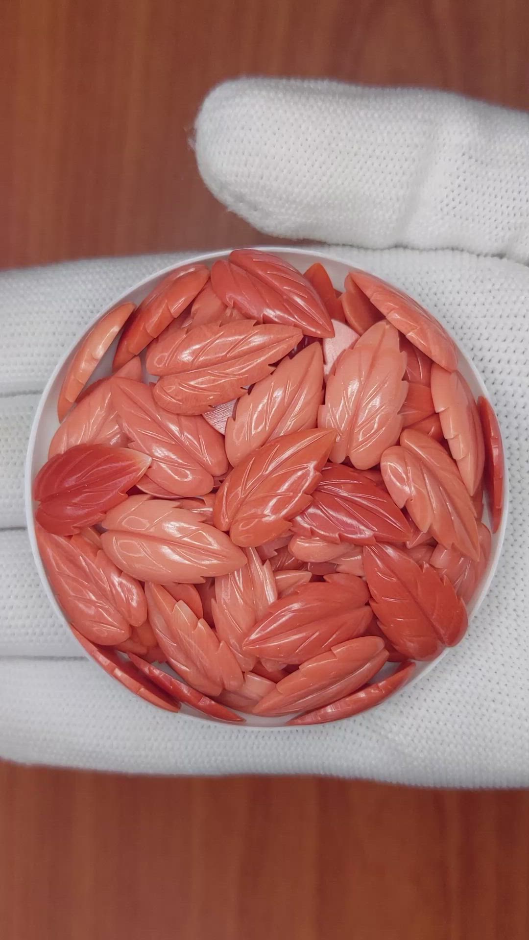 293.11 Ct. Coral from Italy Size Video