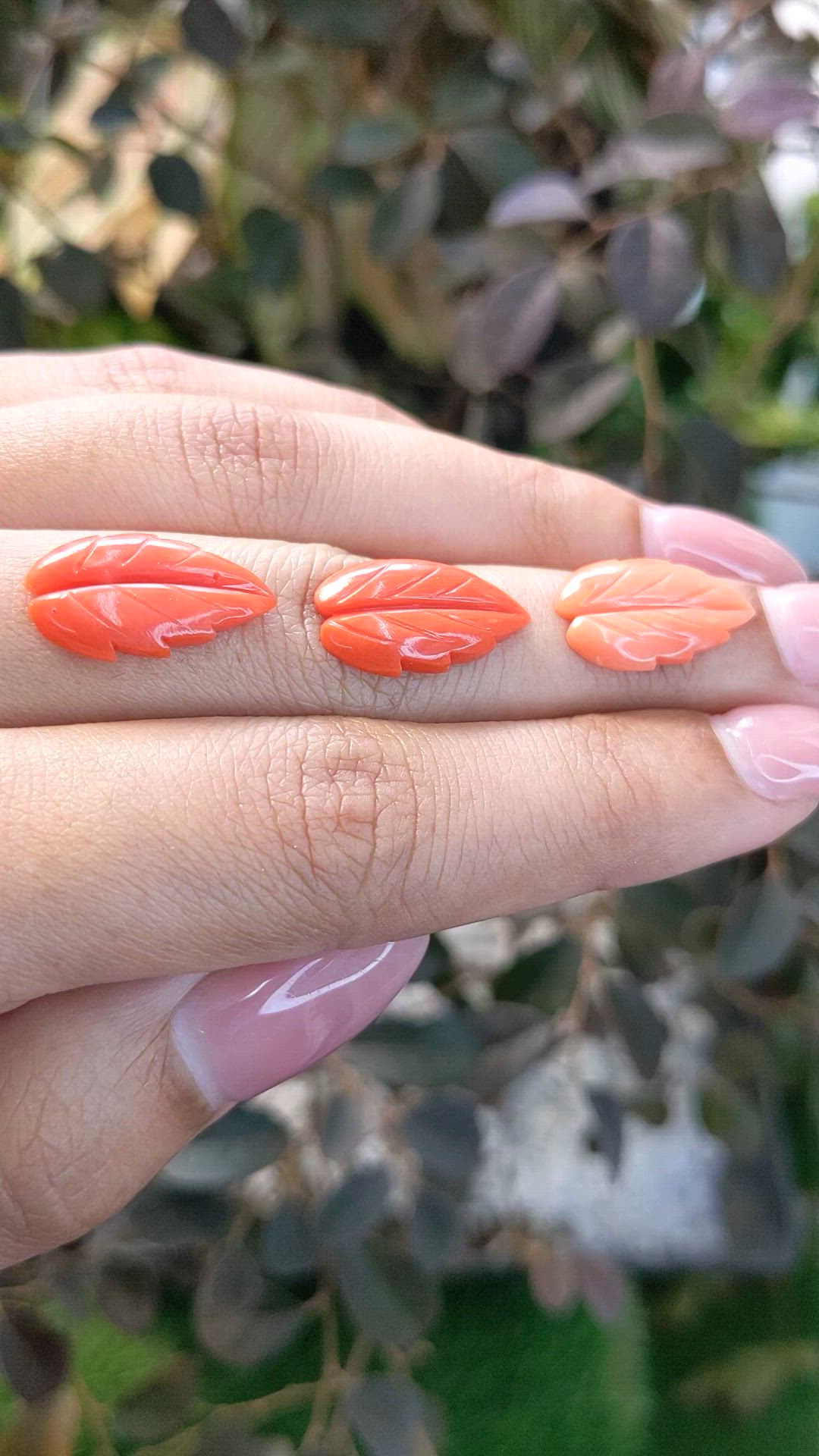 293.11 Ct. Coral from Italy Size Video