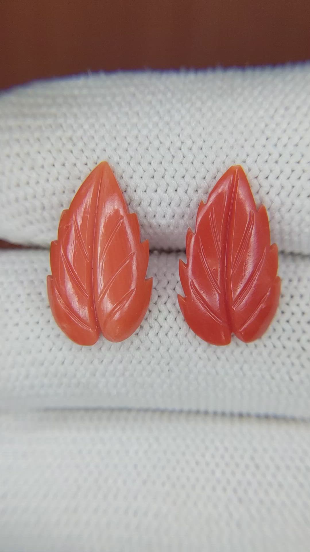 293.11 Ct. Coral from Italy Size Video