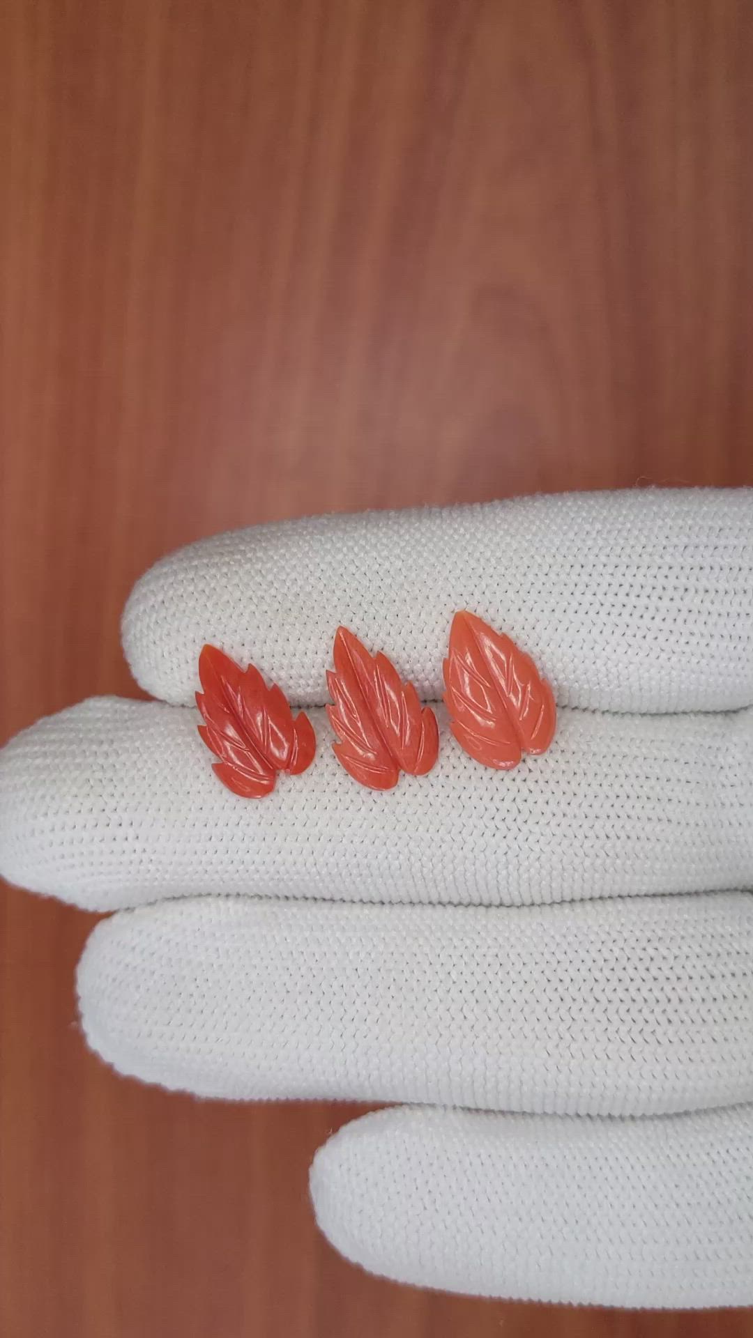 153.56 Ct. Coral from Italy Size Video