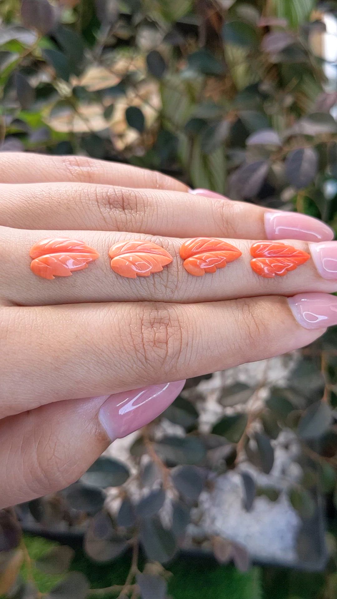 153.56 Ct. Coral from Italy Size Video