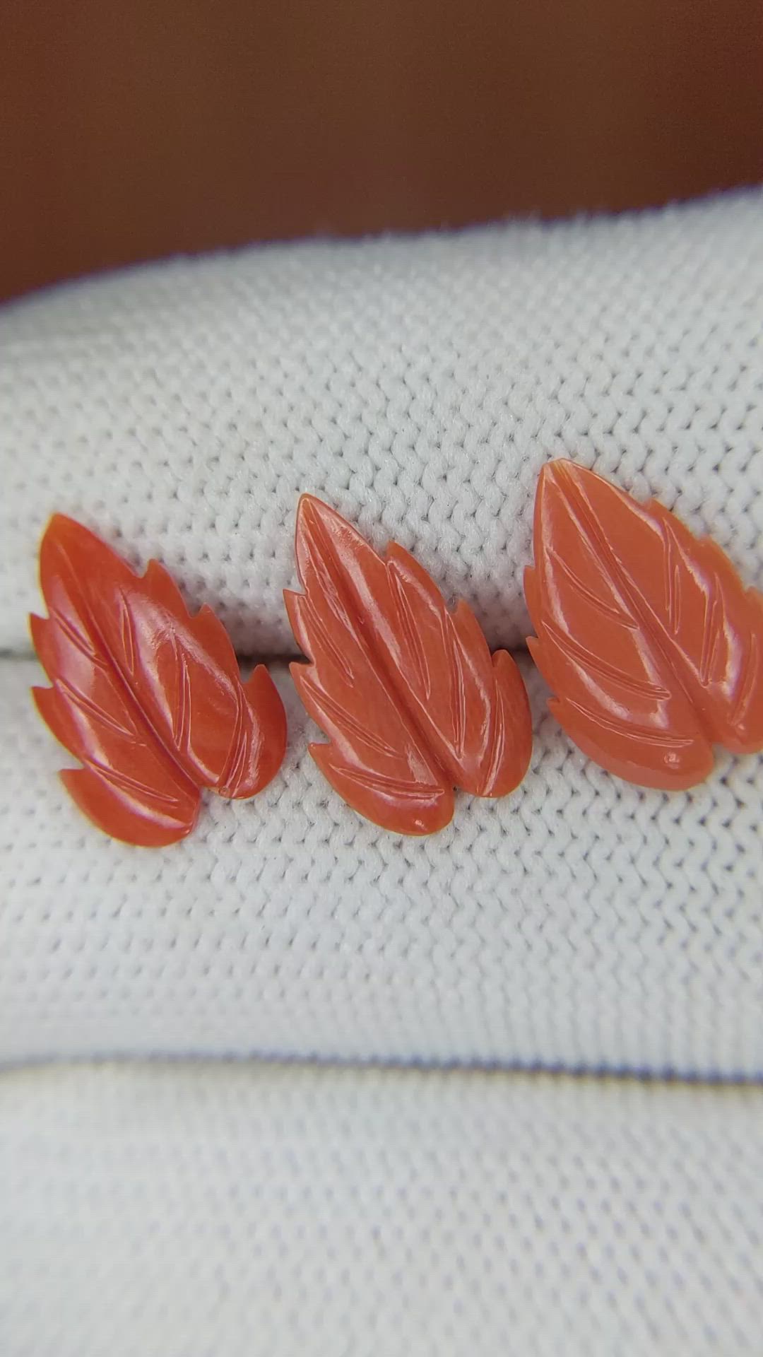 153.56 Ct. Coral from Italy Size Video