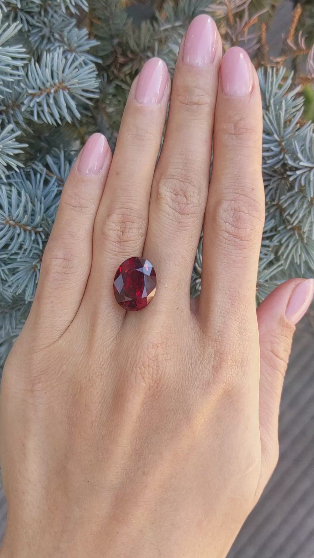 13.30 Ct. Garnet from Ceylon (Sri Lanka) Size Video