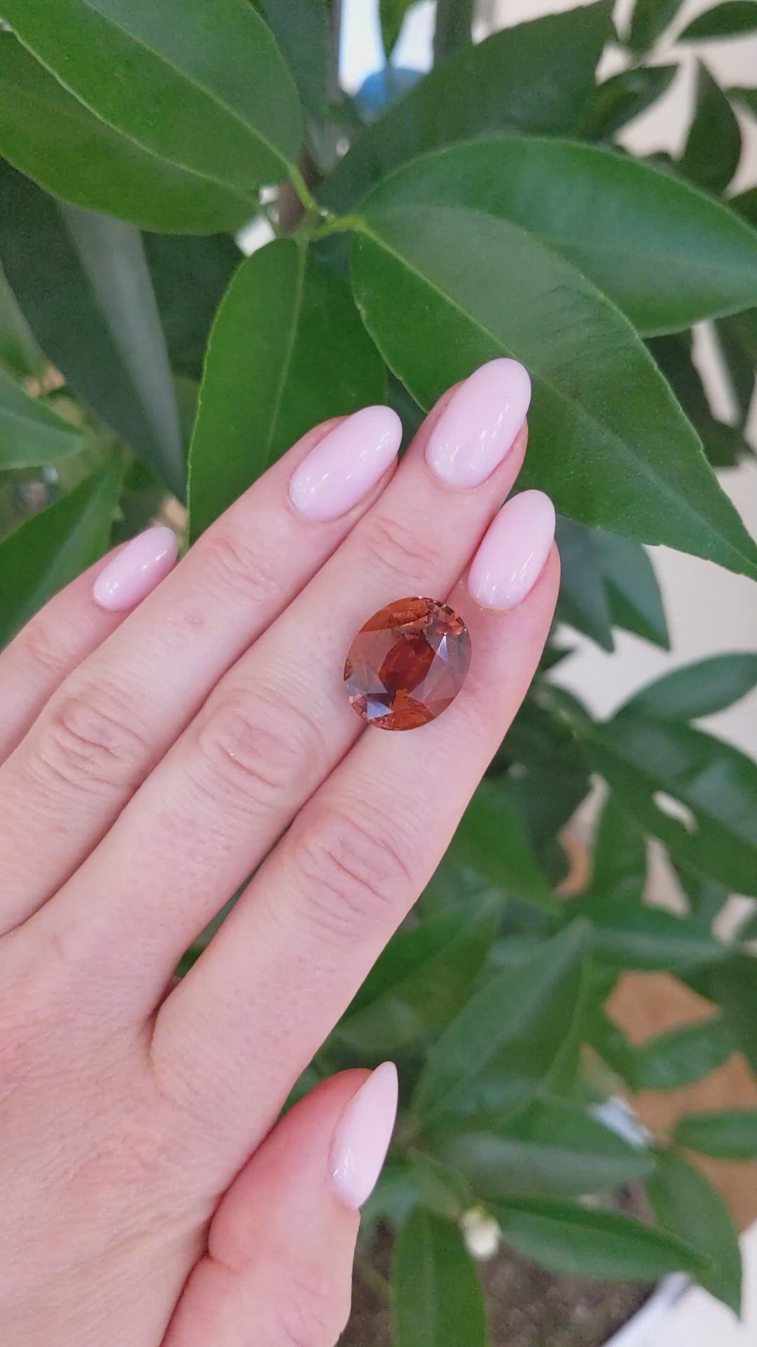 13.12 Ct. Tourmaline from Ceylon (Sri Lanka) Size Video