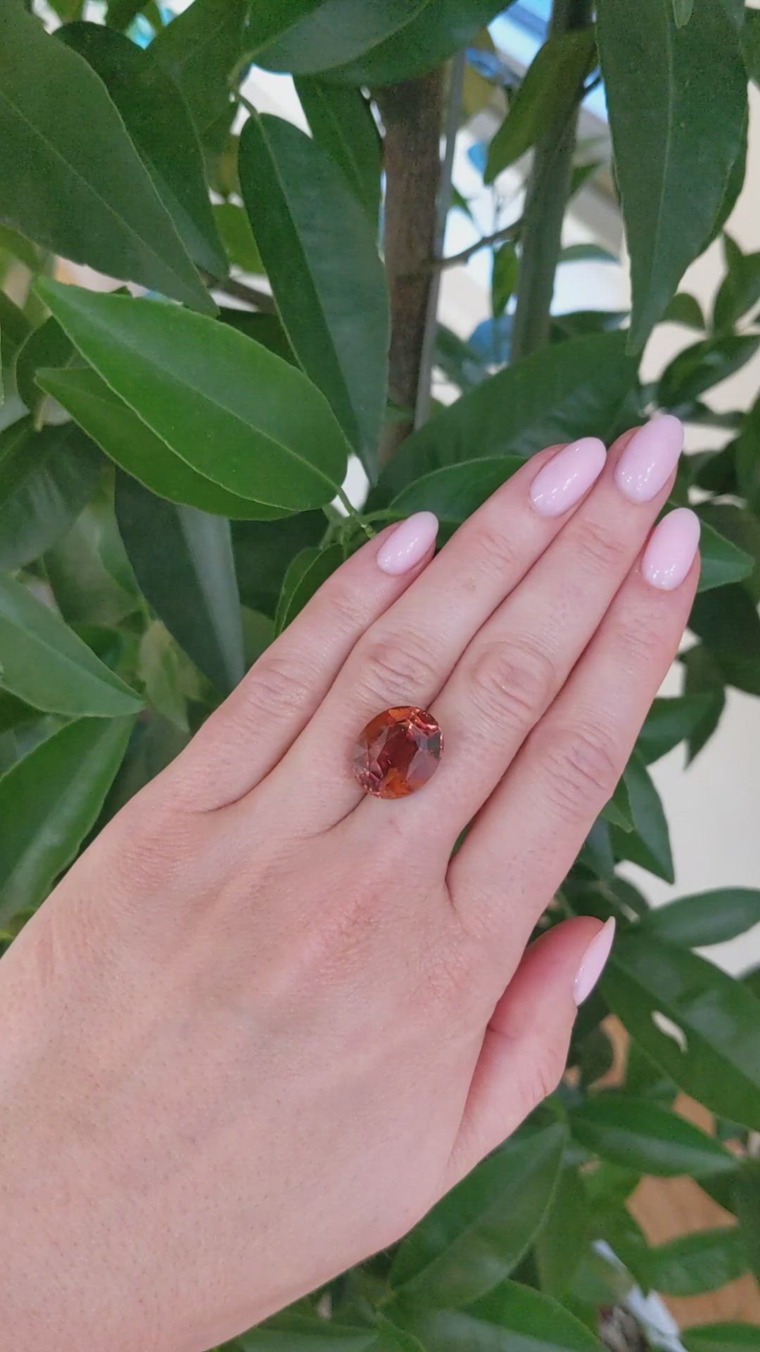 13.12 Ct. Tourmaline from Ceylon (Sri Lanka) Size Video