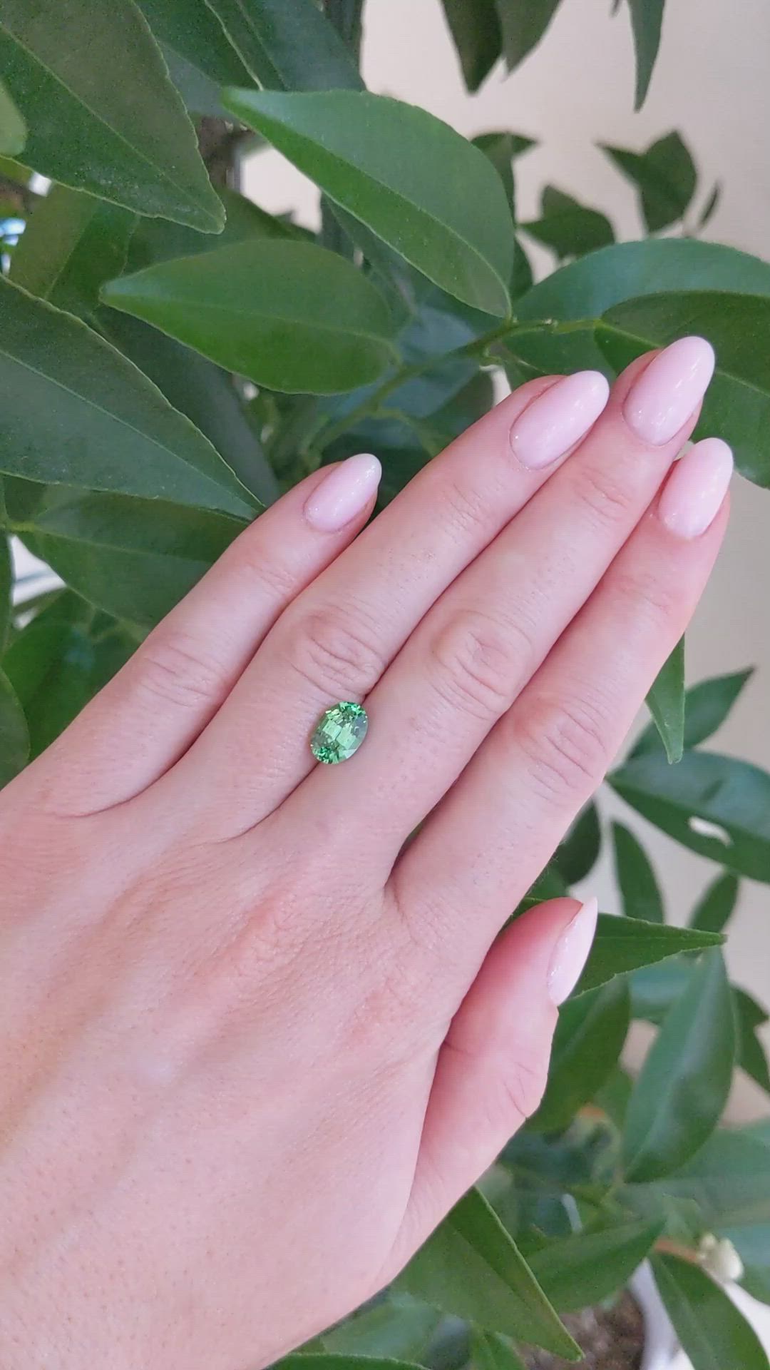 2.03 Ct. Tsavorite Garnet from Tanzania Size Video