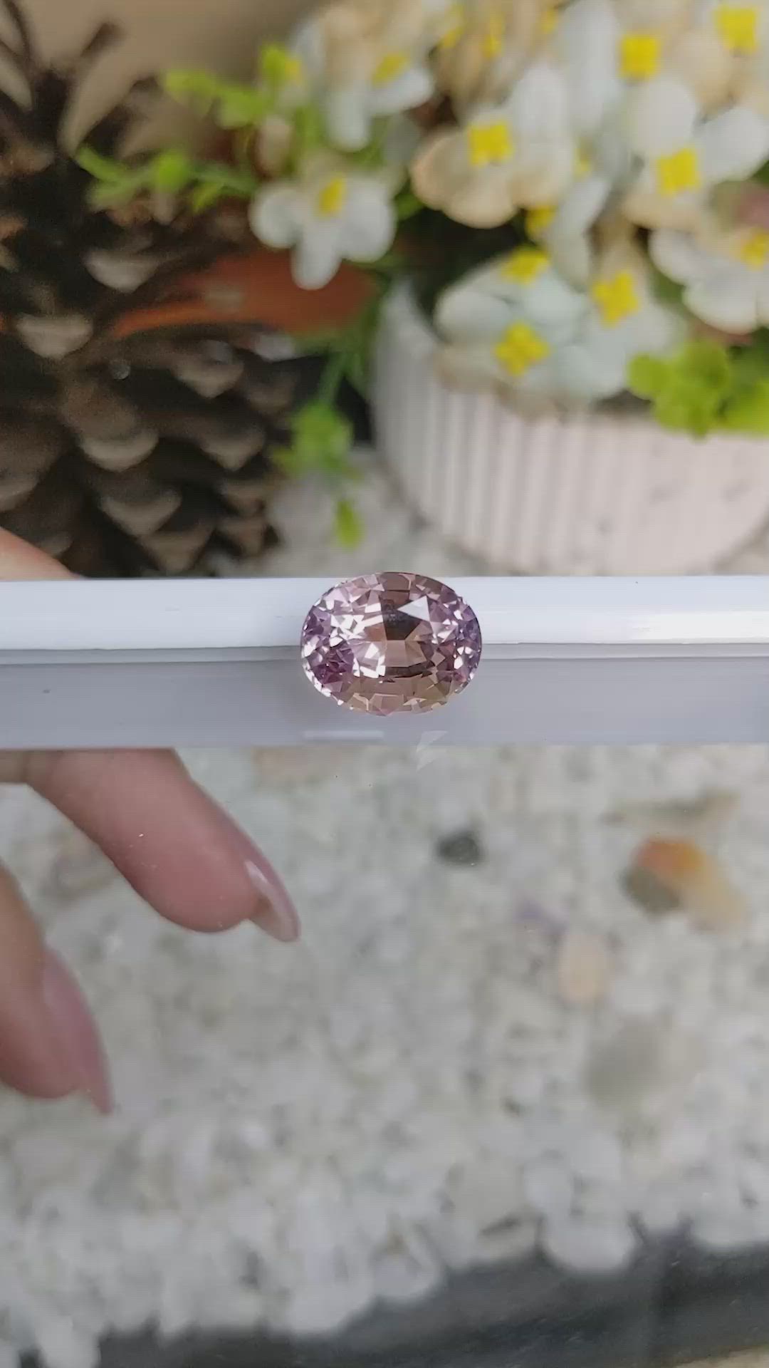 7.79 Ct. Ametrine from Brazil Size Video