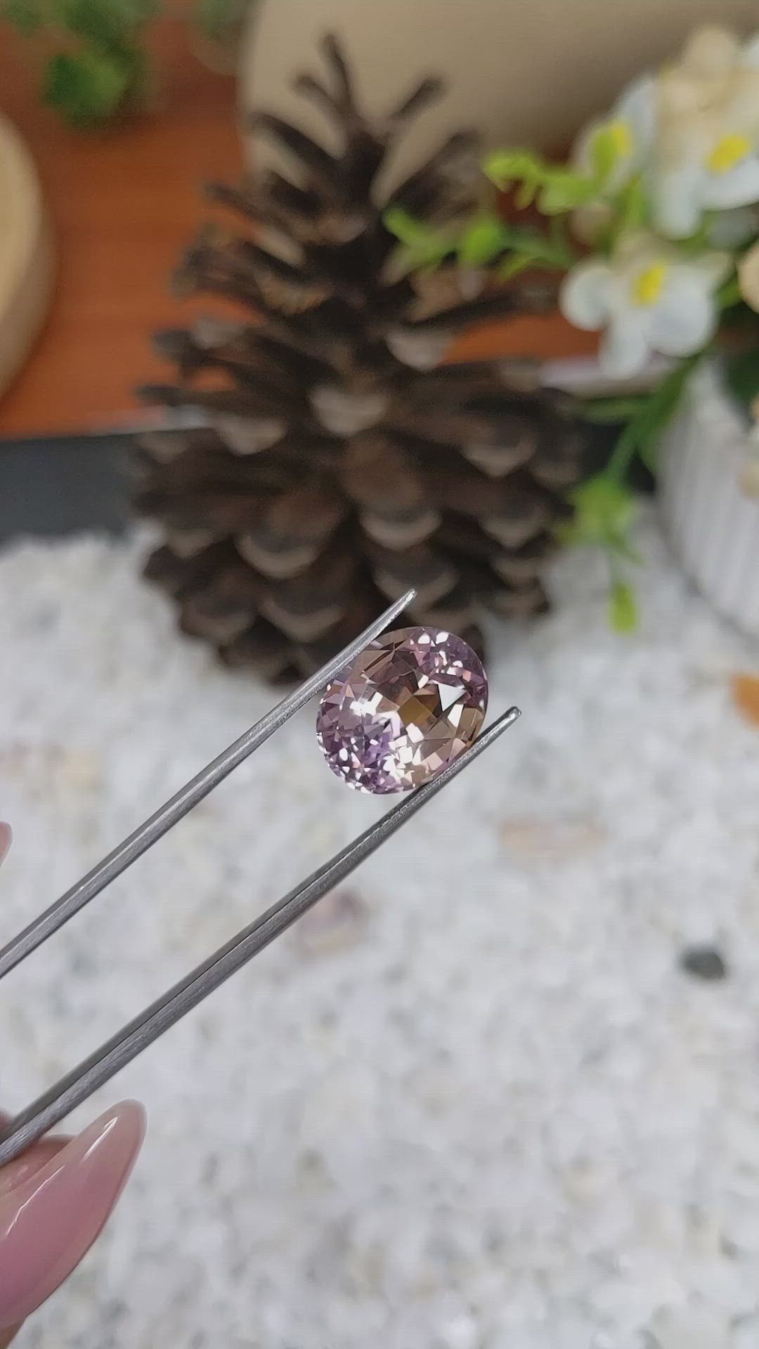 7.79 Ct. Ametrine from Brazil Size Video