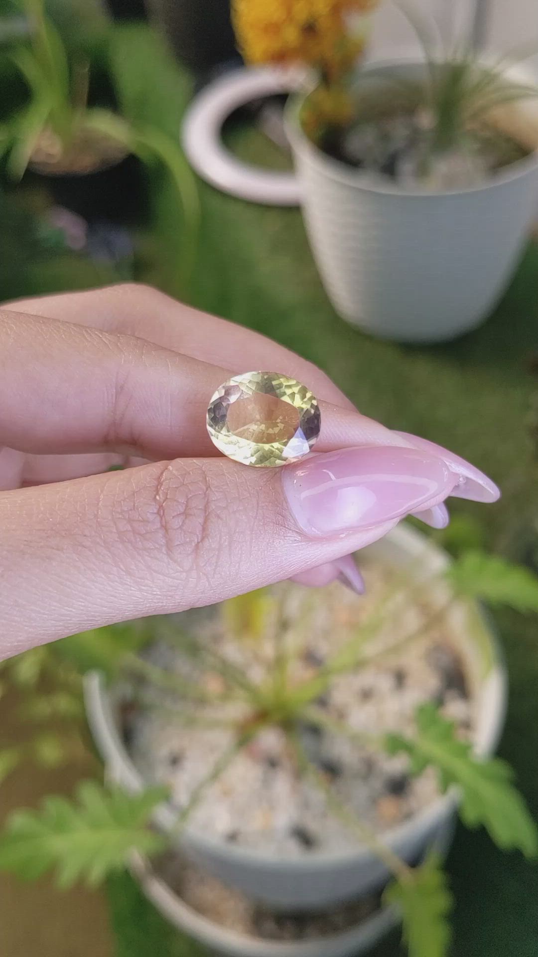 6.42 Ct. Ametrine from Ceylon (Sri Lanka) Size Video