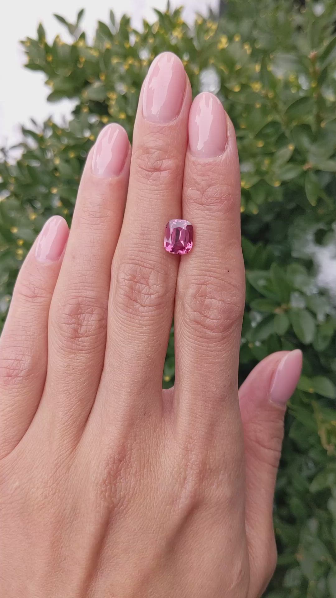 2.49 Ct. Spinel from Ceylon (Sri Lanka) Size Video